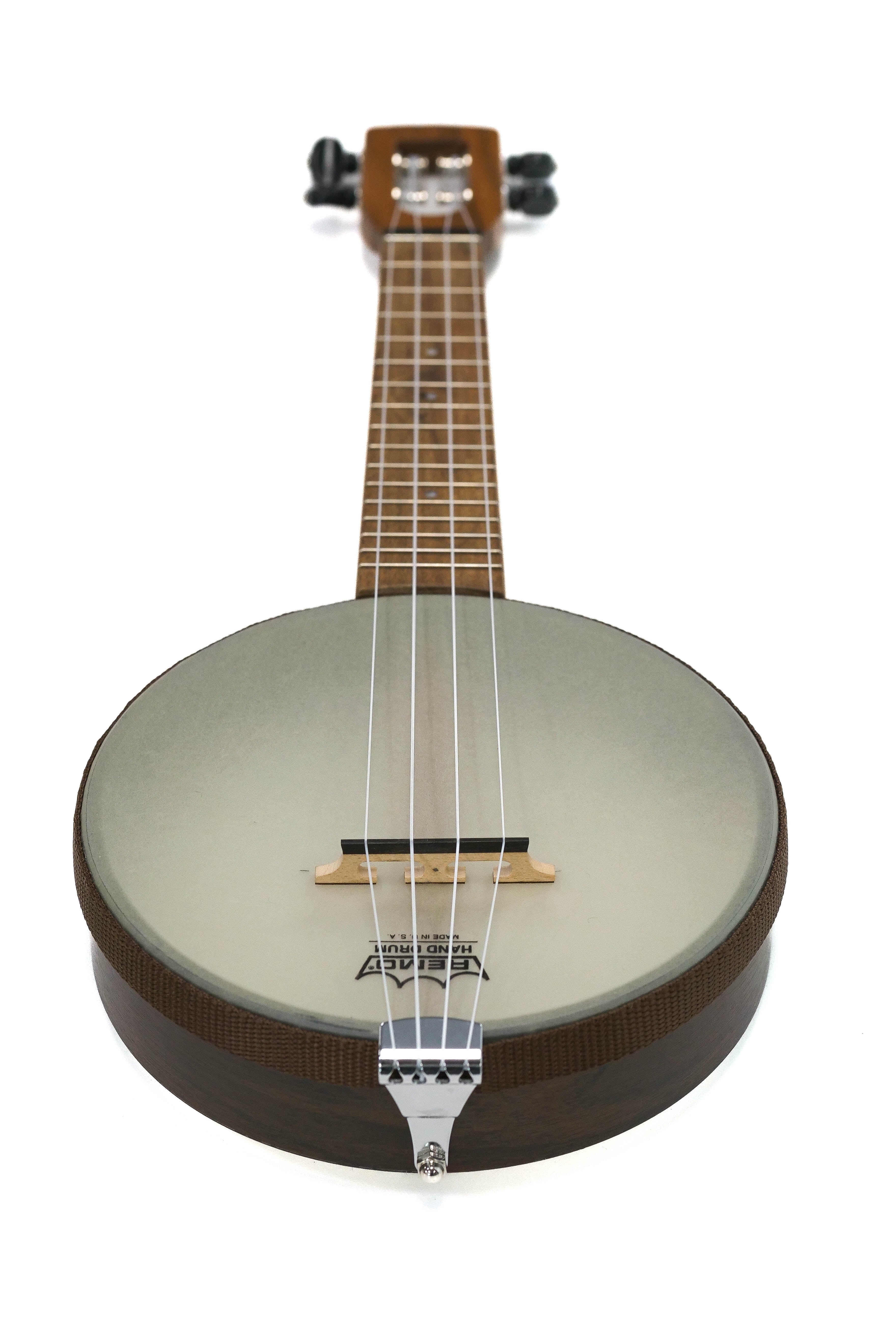 Firefly Concert Scale Banjolele
