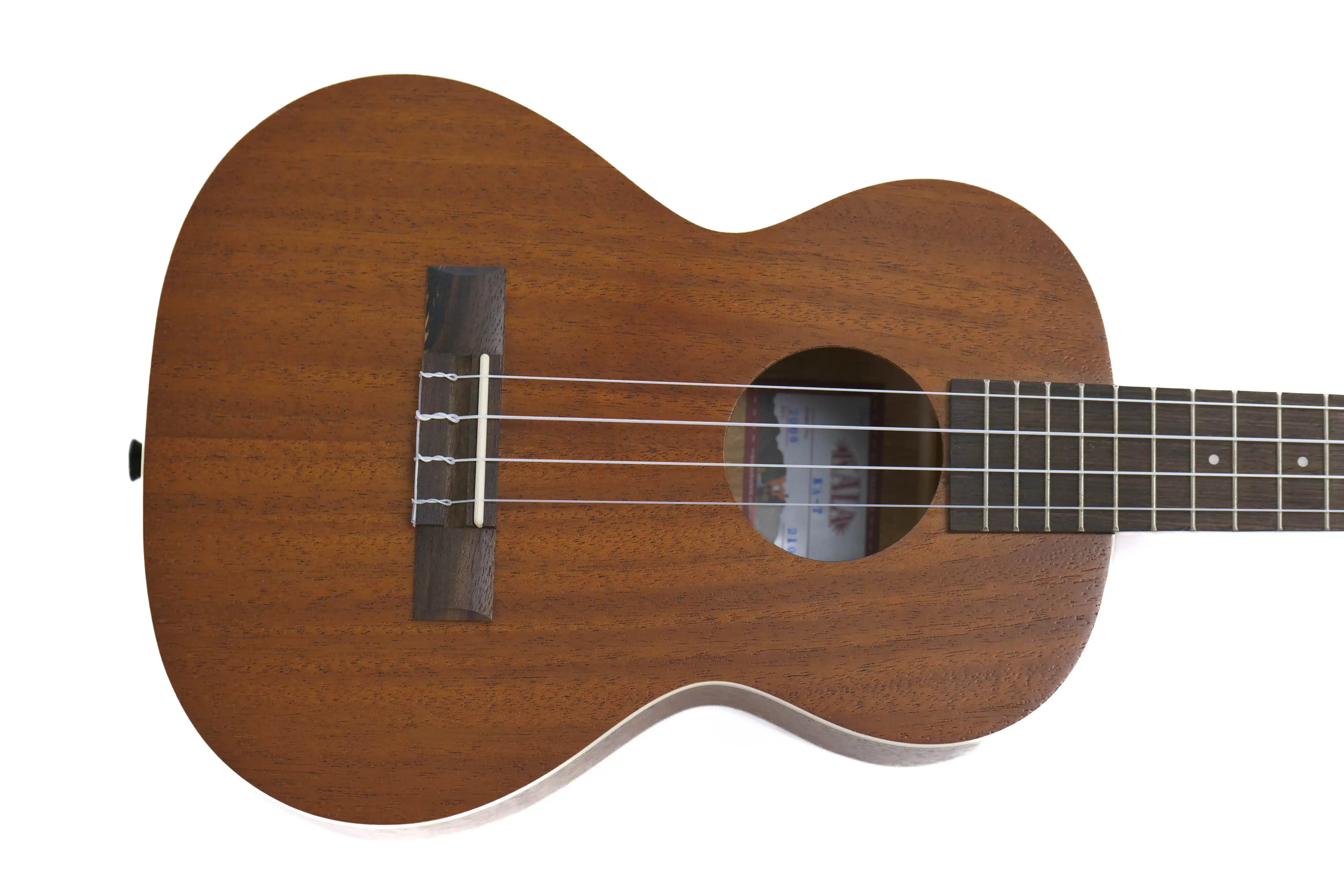 P2066808_37b4bb52-6fa0-4cbb-975b-f5bc654de818 | Terry Carter Music Store