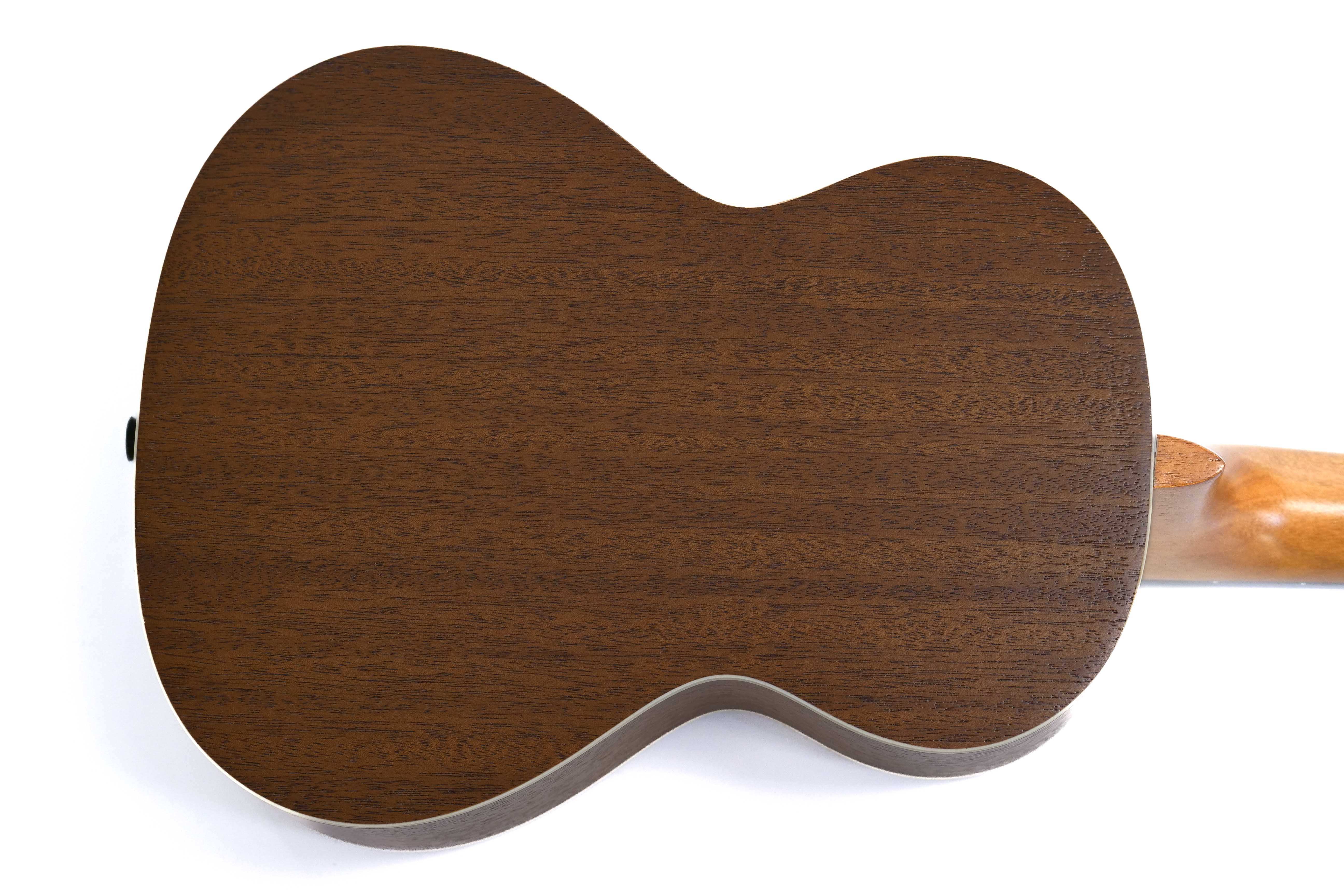 P2066809_ce818028-4f8f-41e9-8629-e6c04c29a562 | Terry Carter Music Store