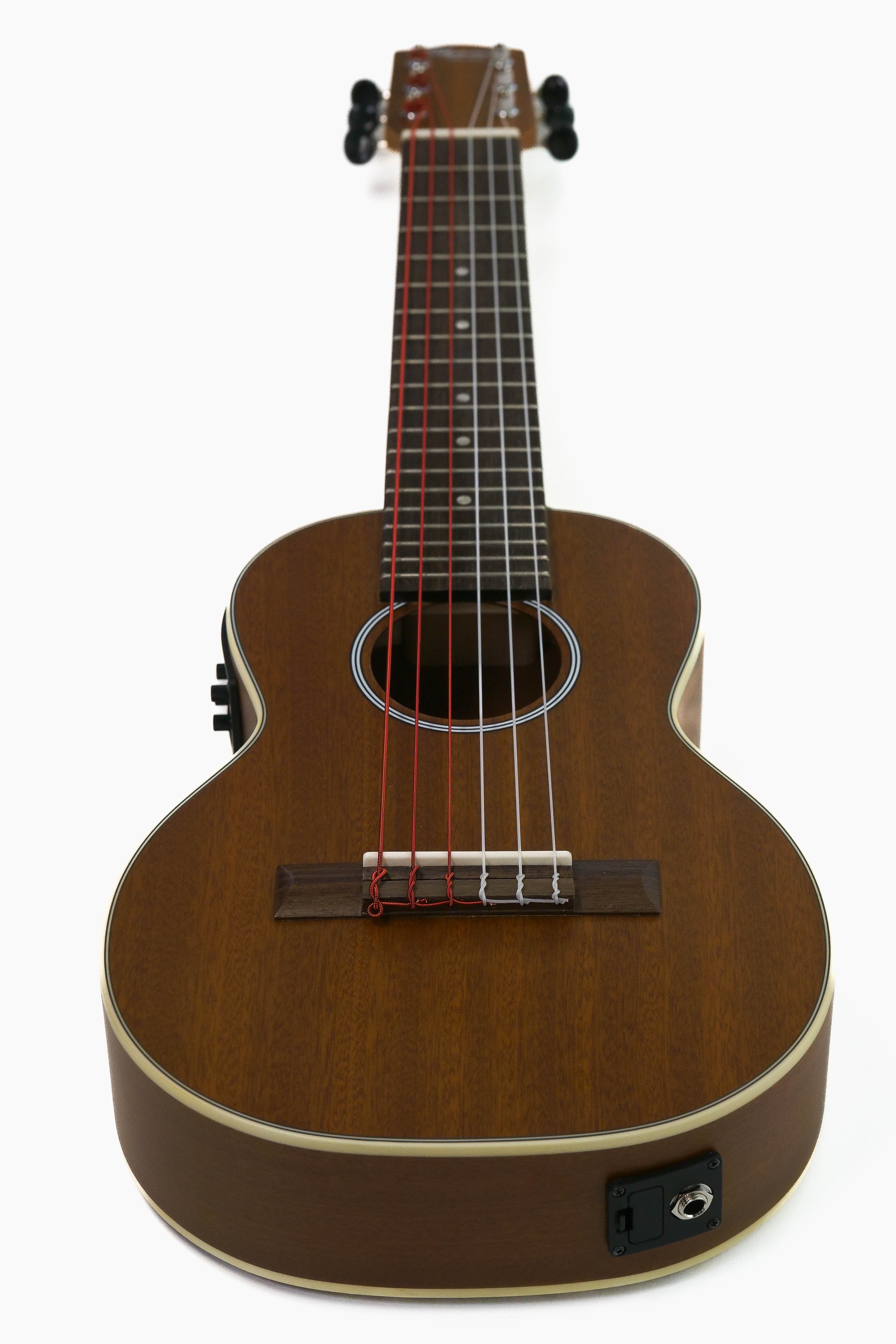 P2099795 | Terry Carter Music Store