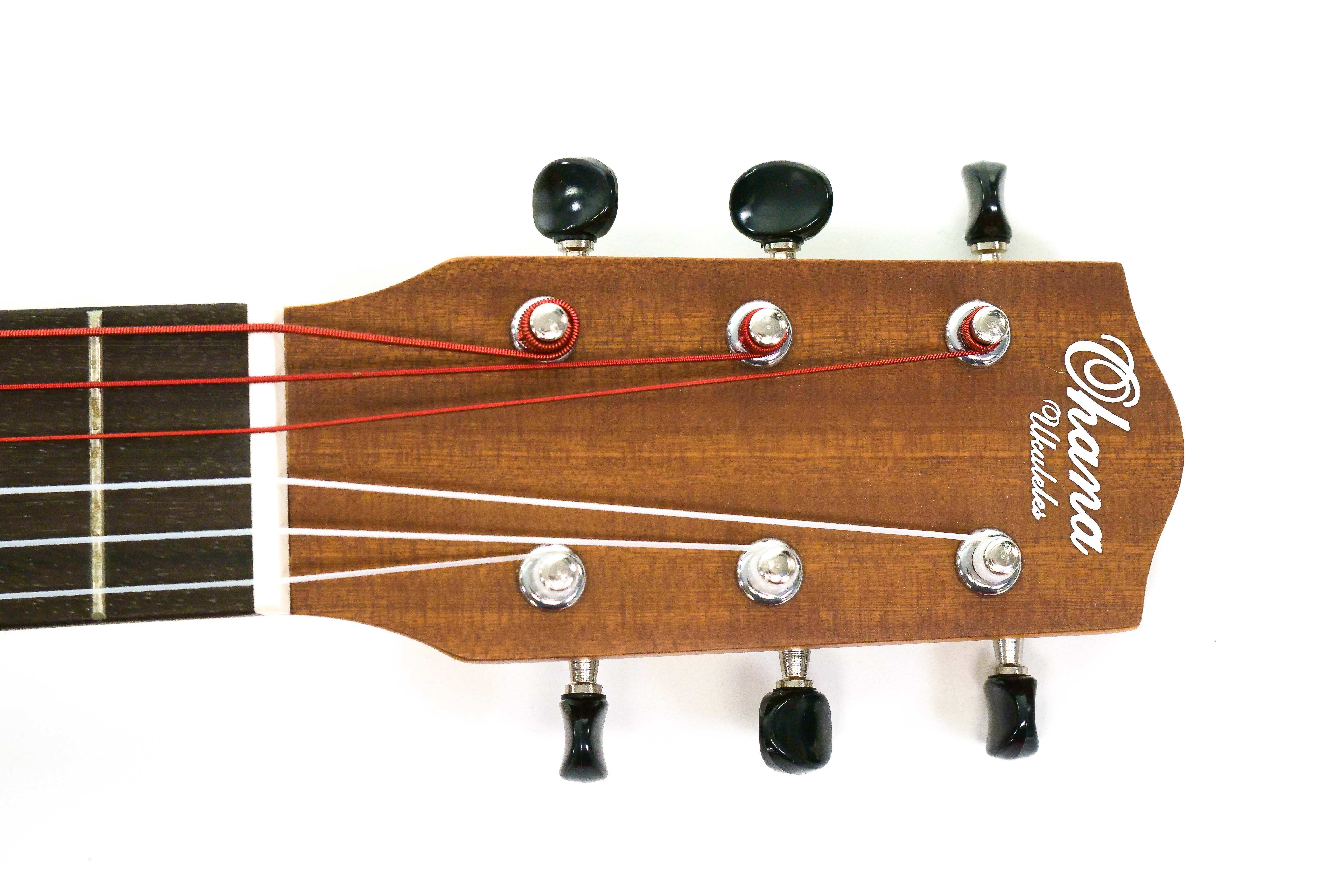 P2099796 | Terry Carter Music Store