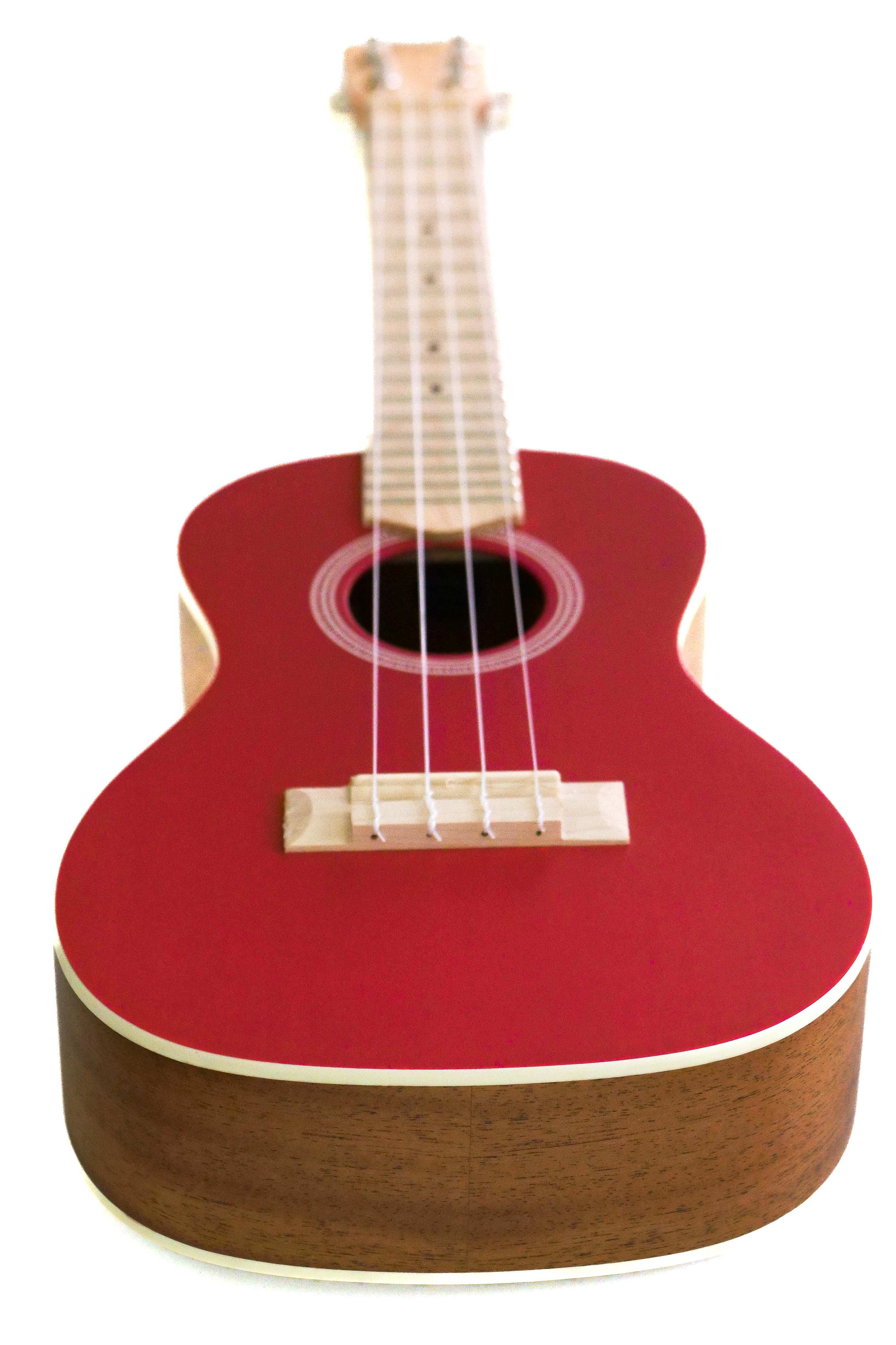 P2122785 | Terry Carter Music Store