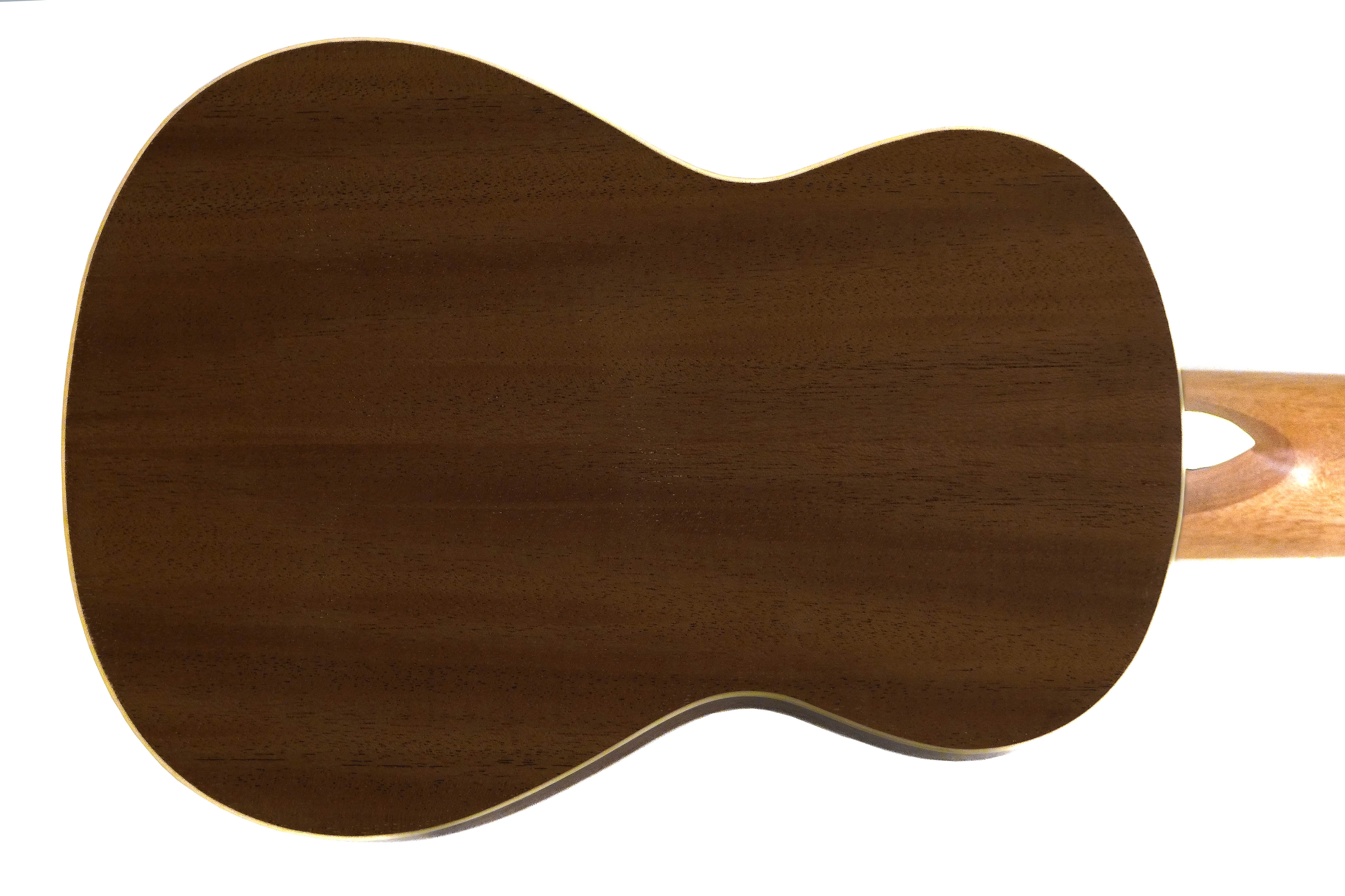 Flight GUT350 SP/SAP Guitarlele