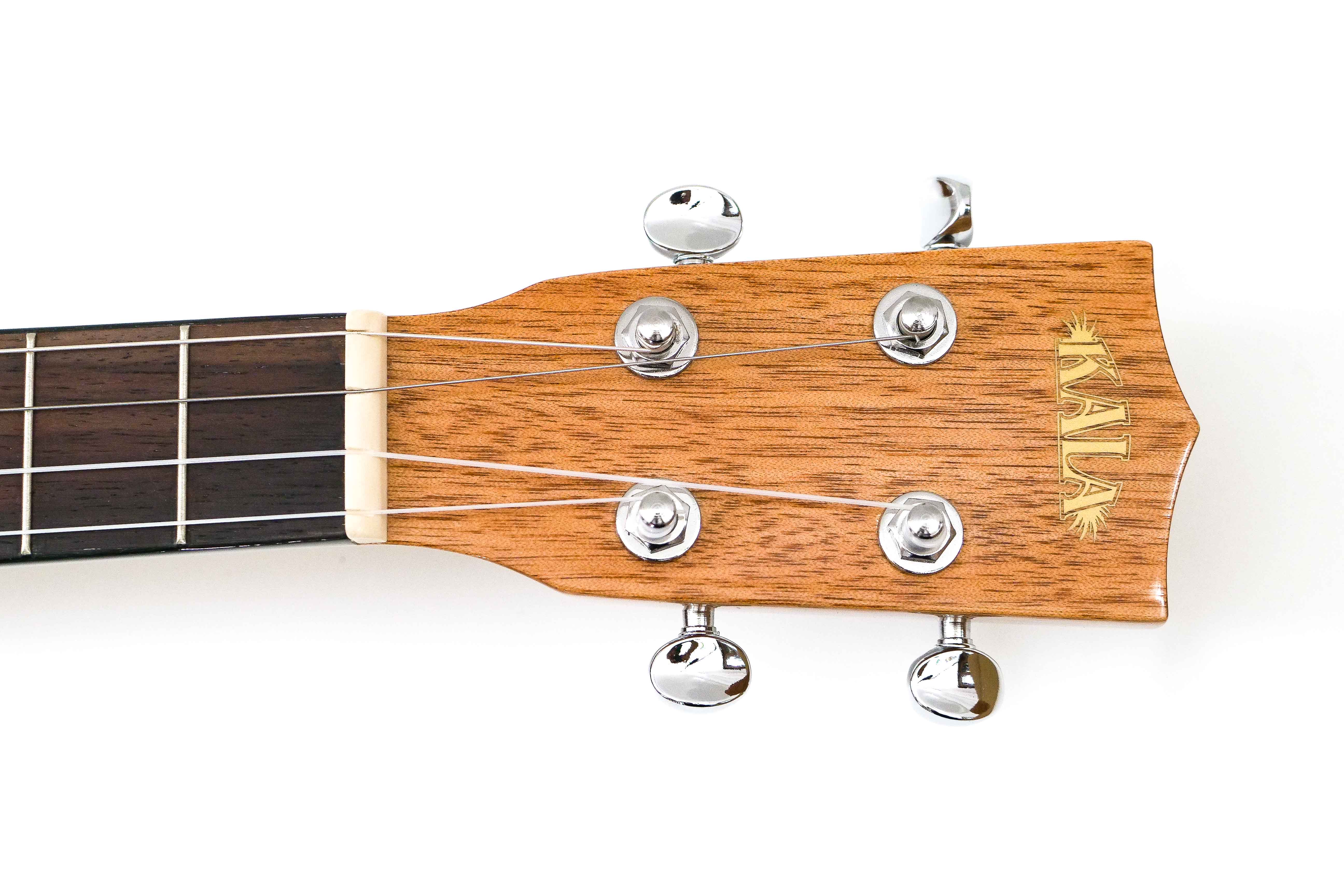 P2122922 | Terry Carter Music Store