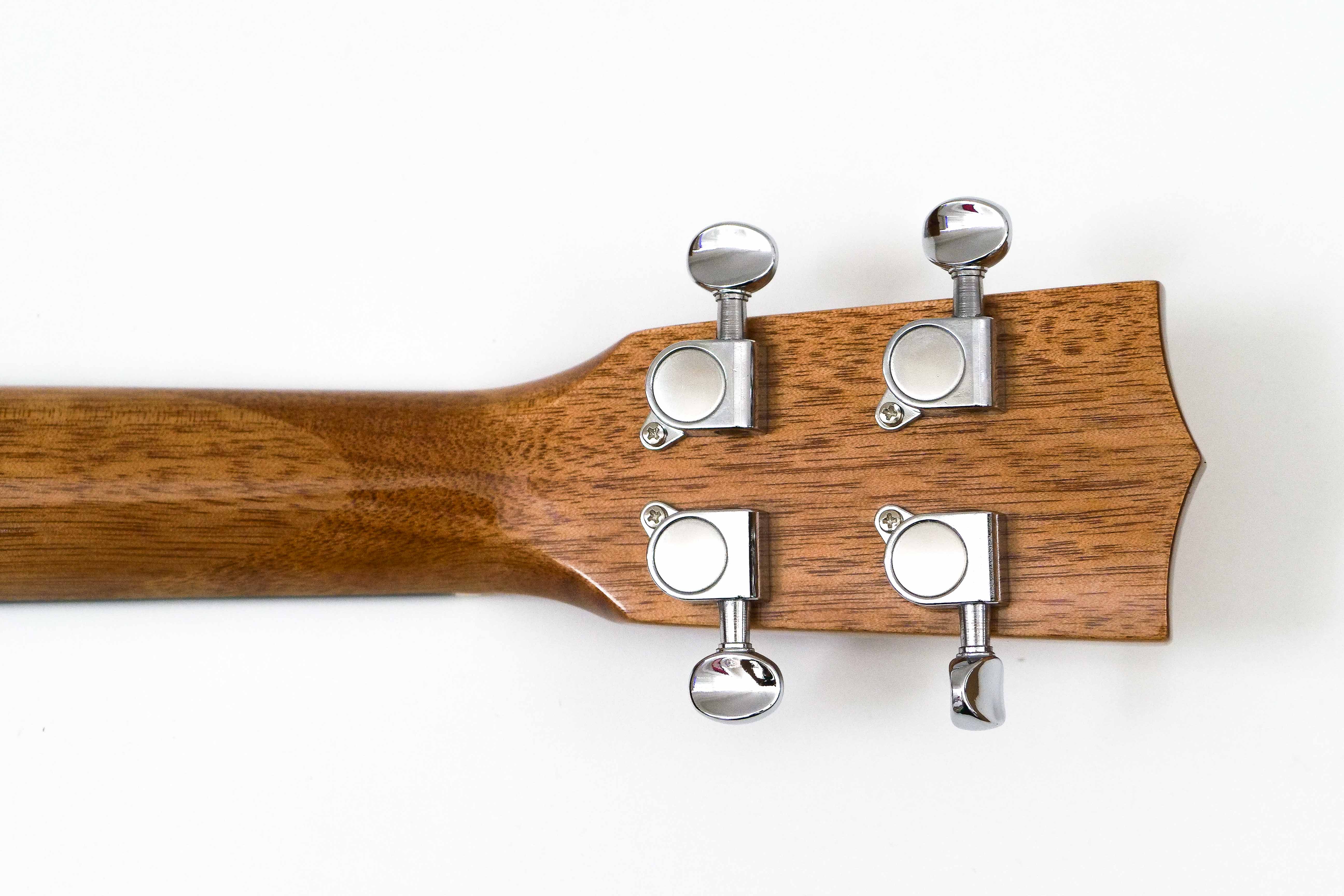 P2122923 | Terry Carter Music Store