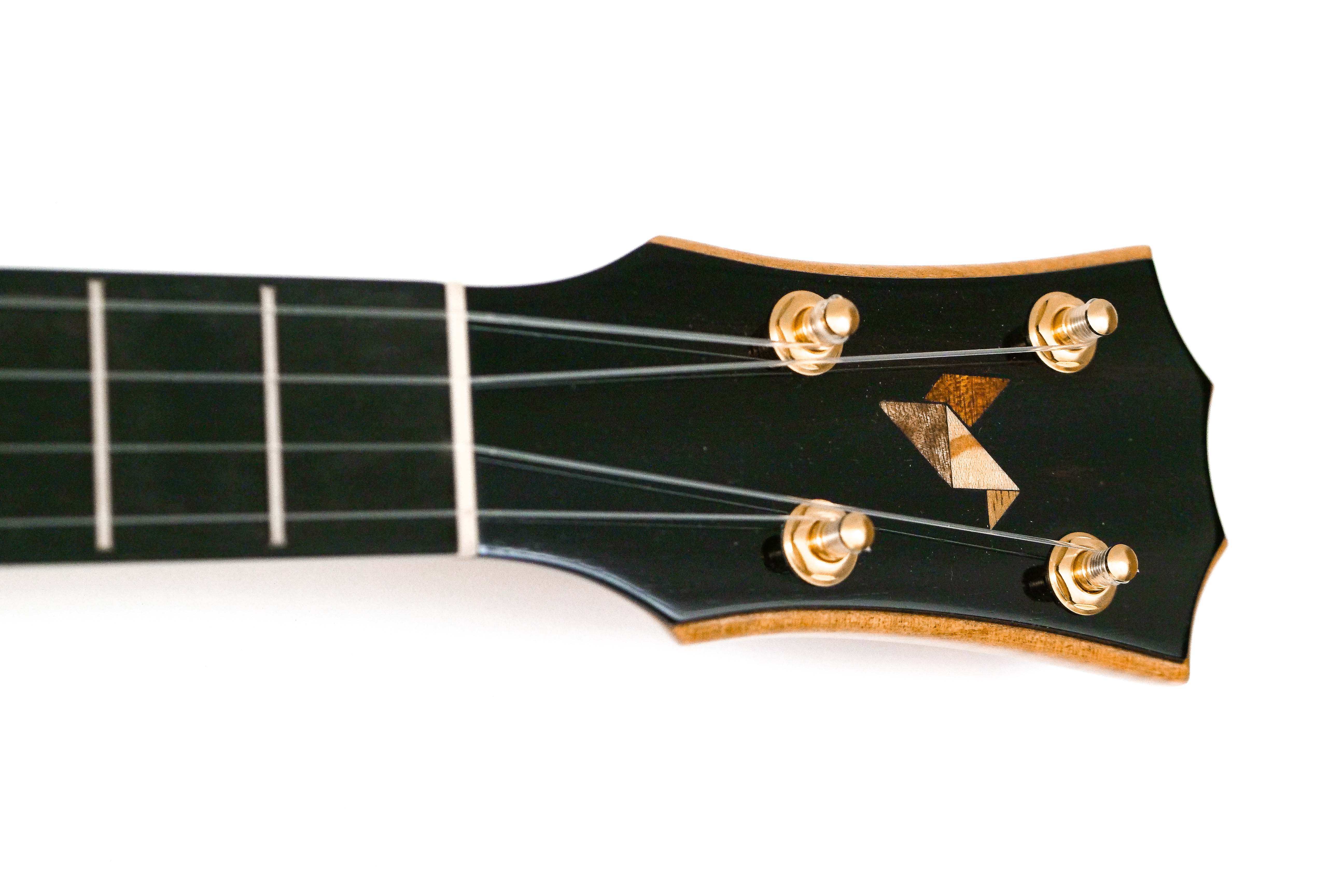 P2122945 | Terry Carter Music Store