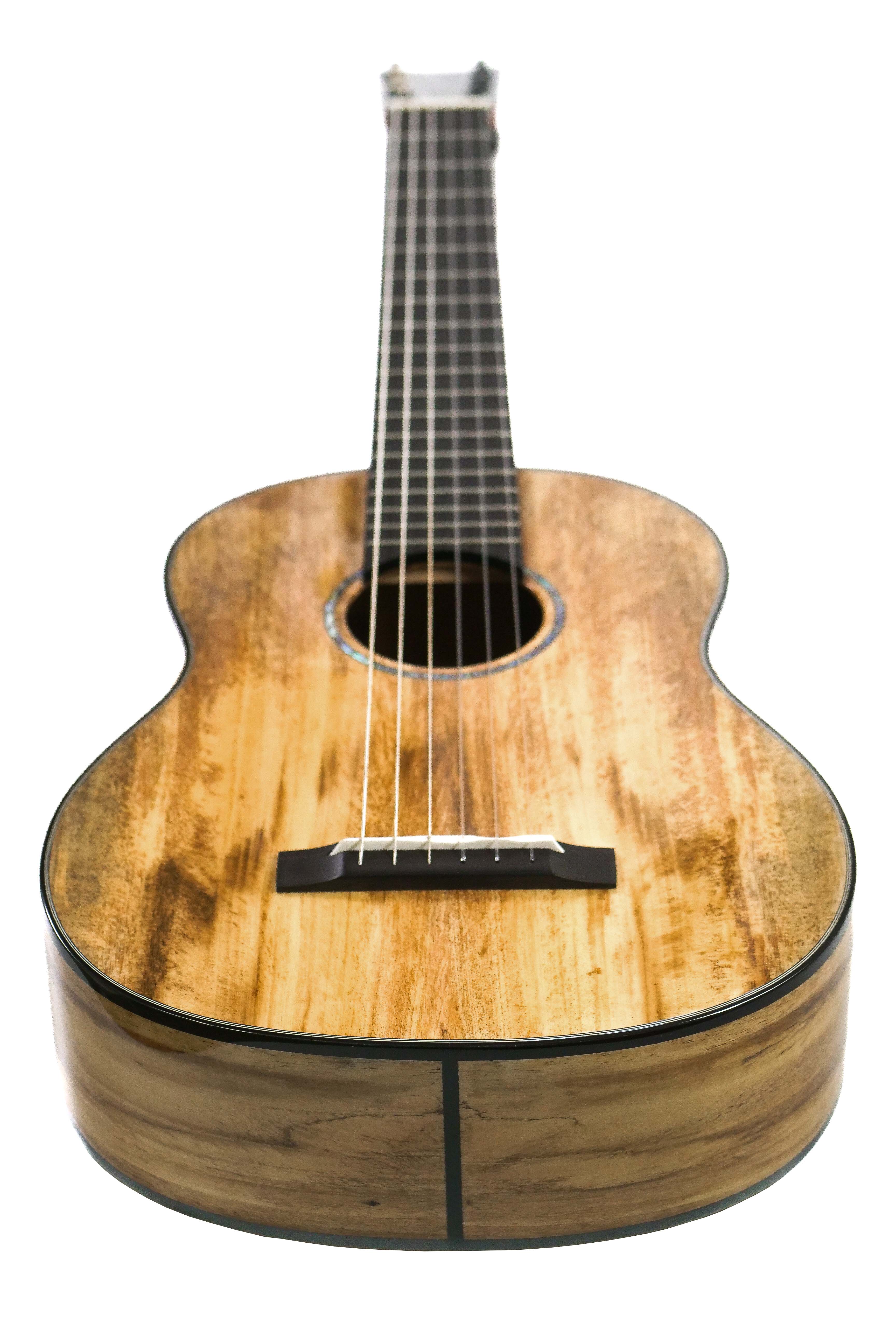 Romero Creation RC-P6-MG Parlor Guitar