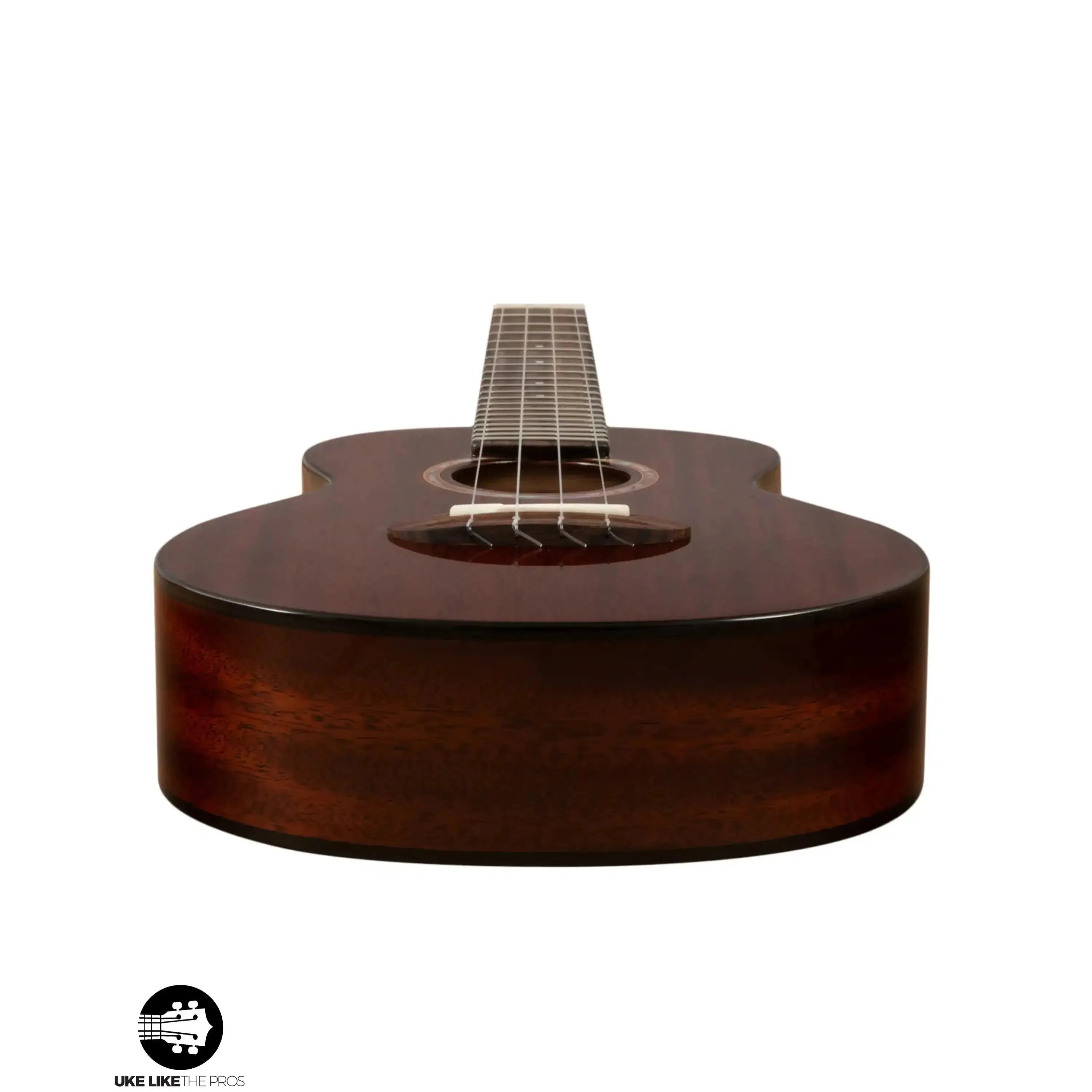 PRO_0106-Edit | Terry Carter Music Store