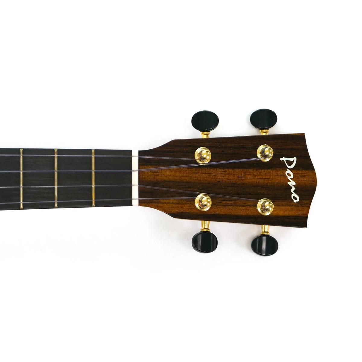 Pono-MGTD-Tenor-Ukulele-Ridley-5 | Terry Carter Music Store