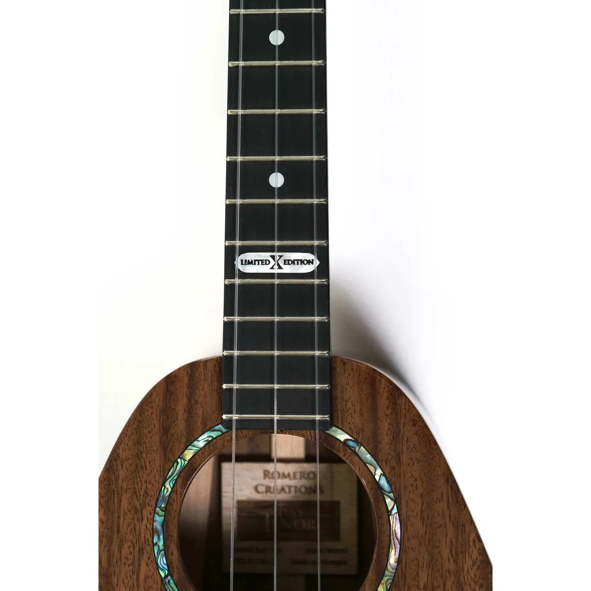 RC-EKOLUSUNNYFRETBOARD | Terry Carter Music Store