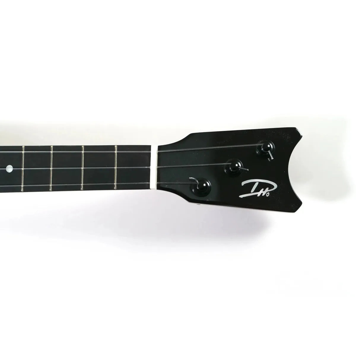RC-EKOLUSUNNYHEADSTOCK | Terry Carter Music Store