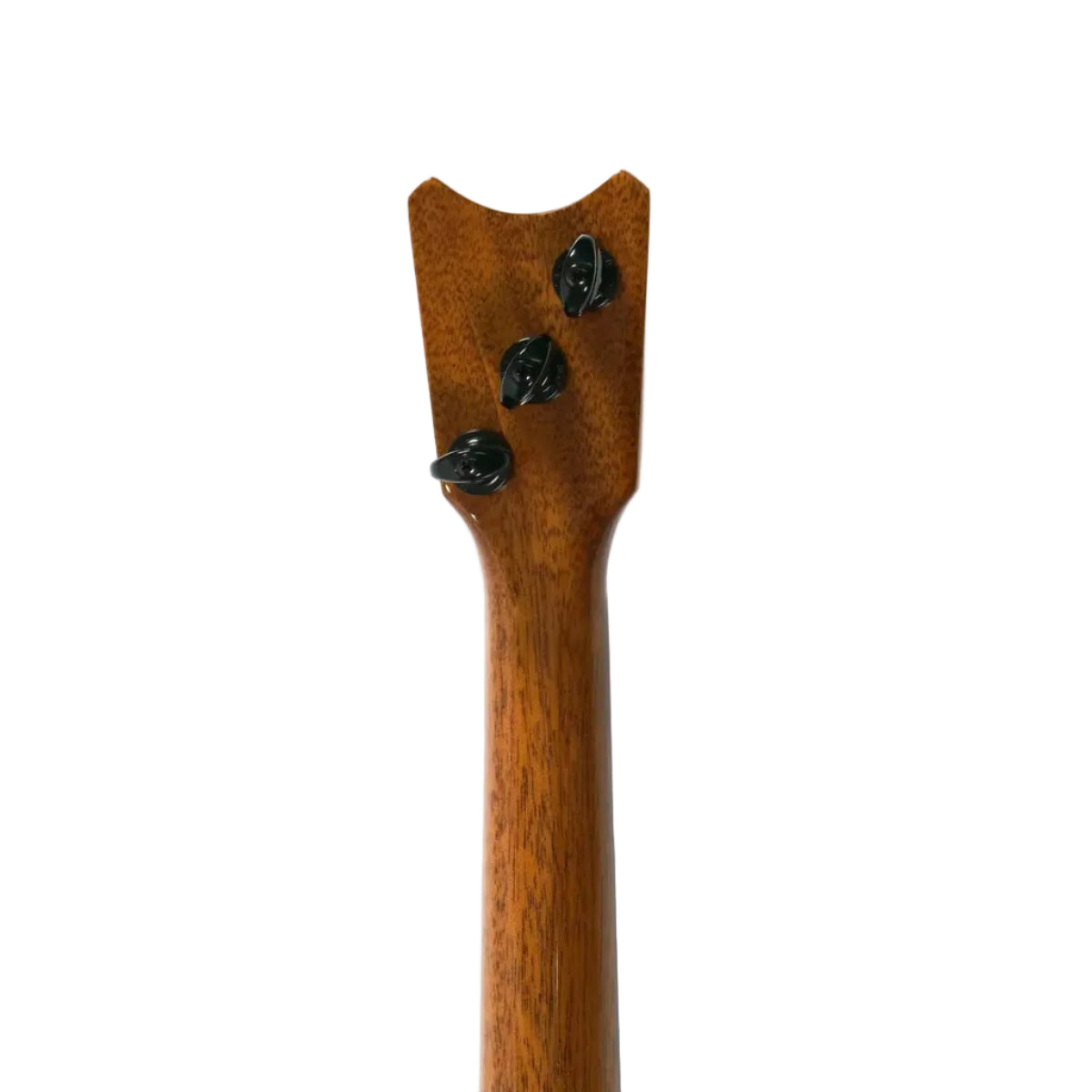 RC-EKOLUSUNNYTUNERS | Terry Carter Music Store