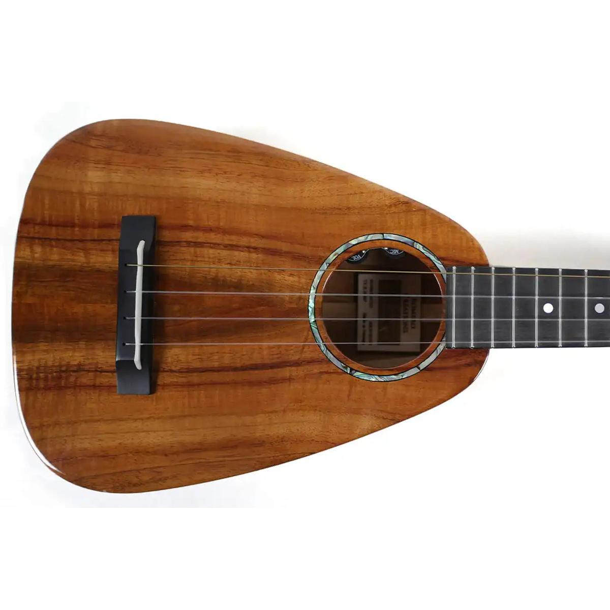 RC-TT-X-1 | Terry Carter Music Store
