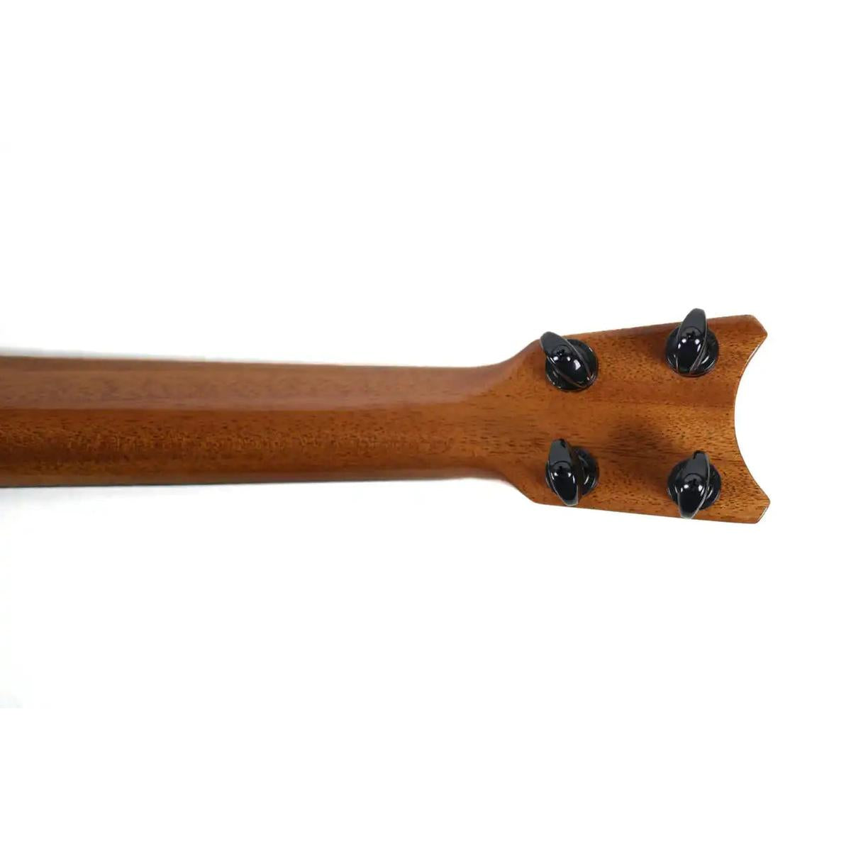 RC-TT-X-4 | Terry Carter Music Store