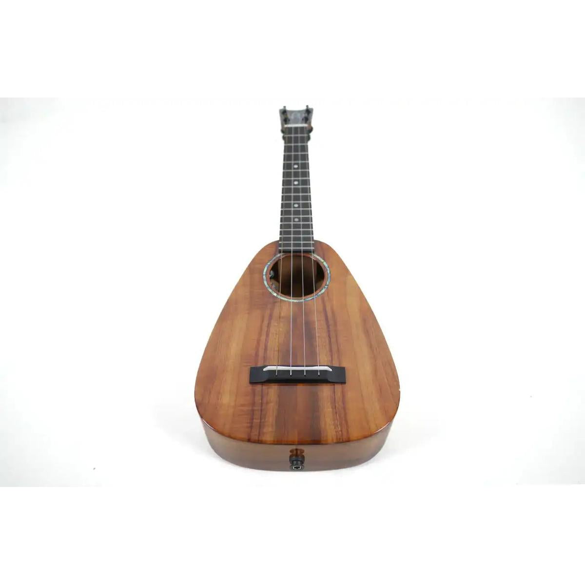 RC-TT-X-5 | Terry Carter Music Store