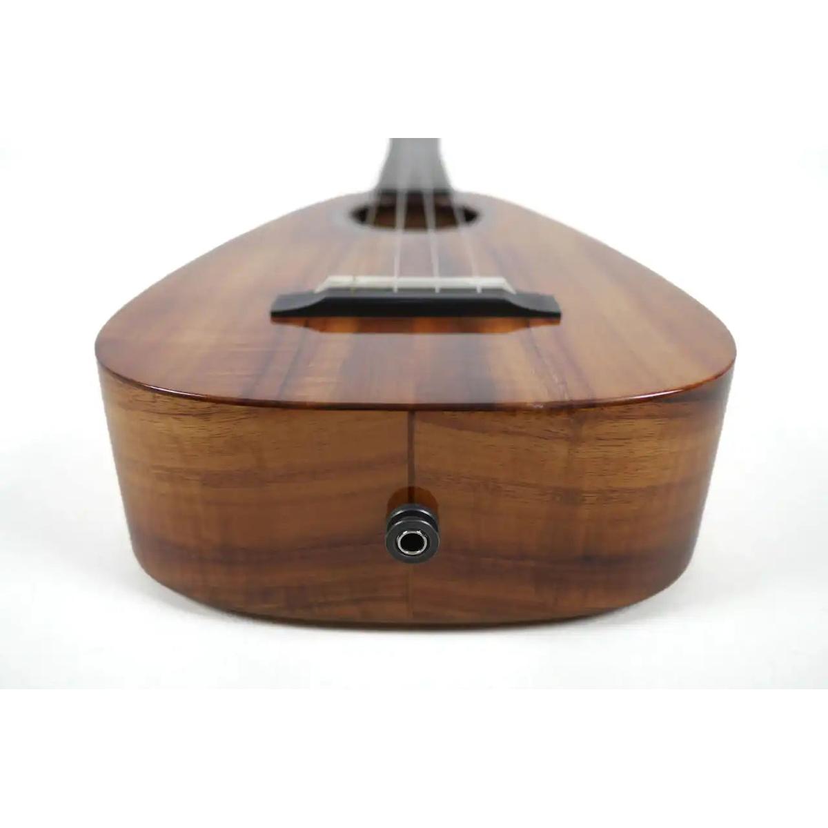 RC-TT-X-6 | Terry Carter Music Store