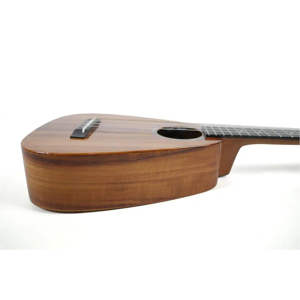 RC-TT-X-7 | Terry Carter Music Store