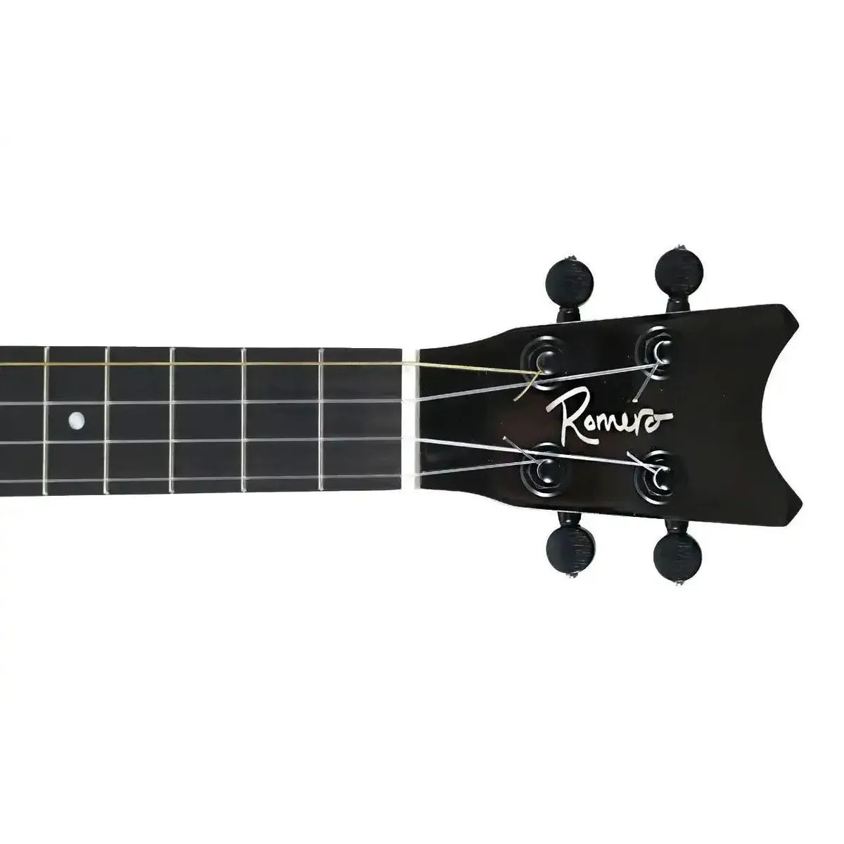 RC_GT_K_2 | Terry Carter Music Store