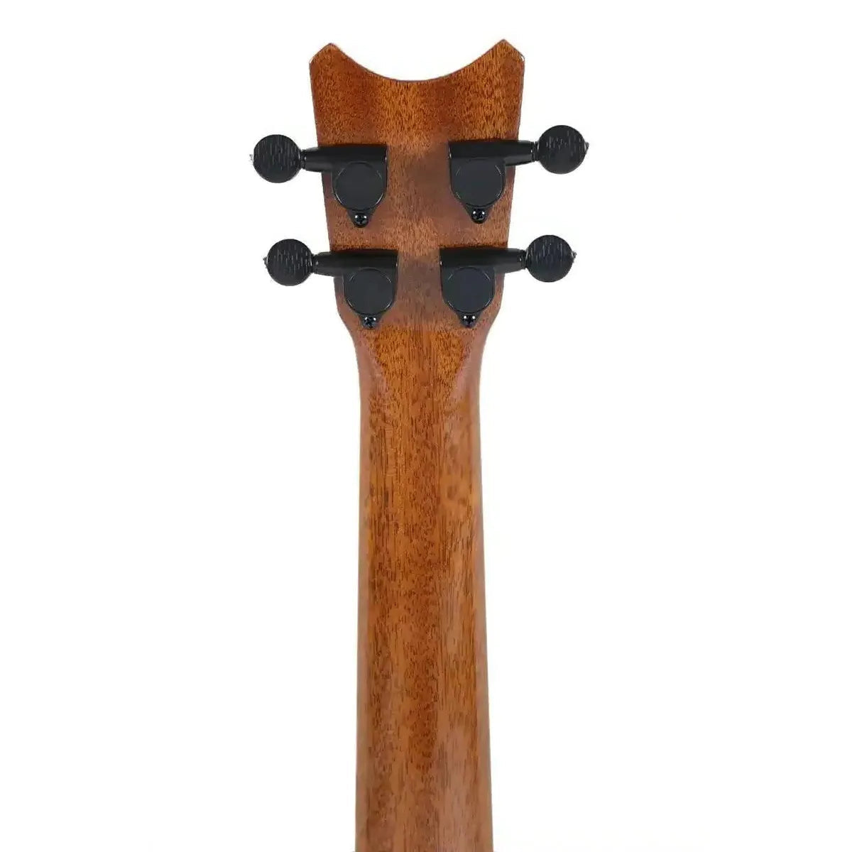 RC_GT_K_5 | Terry Carter Music Store