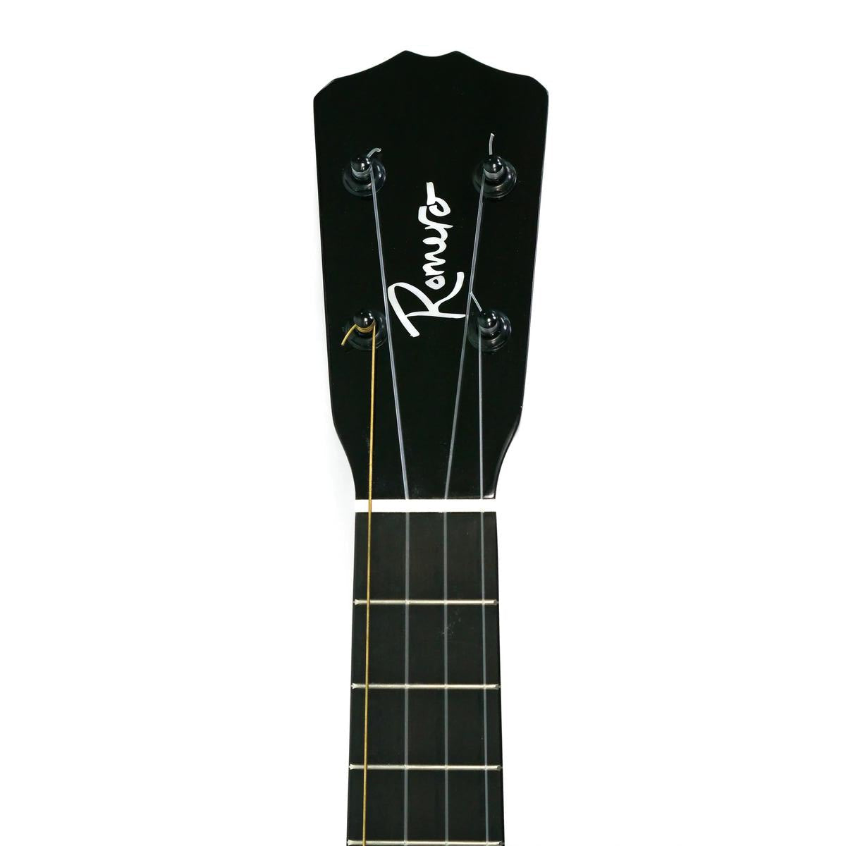 RC_RTSM_3 | Terry Carter Music Store