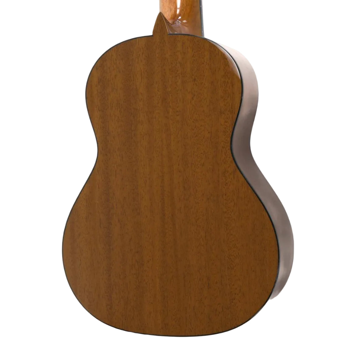 RC_RTSM_5 | Terry Carter Music Store