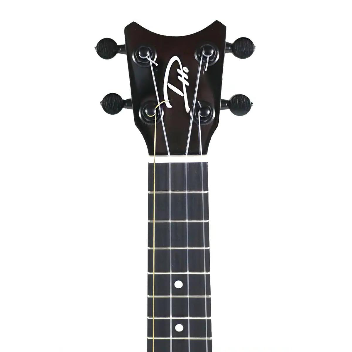 RC_XSMG_1_2 | Terry Carter Music Store