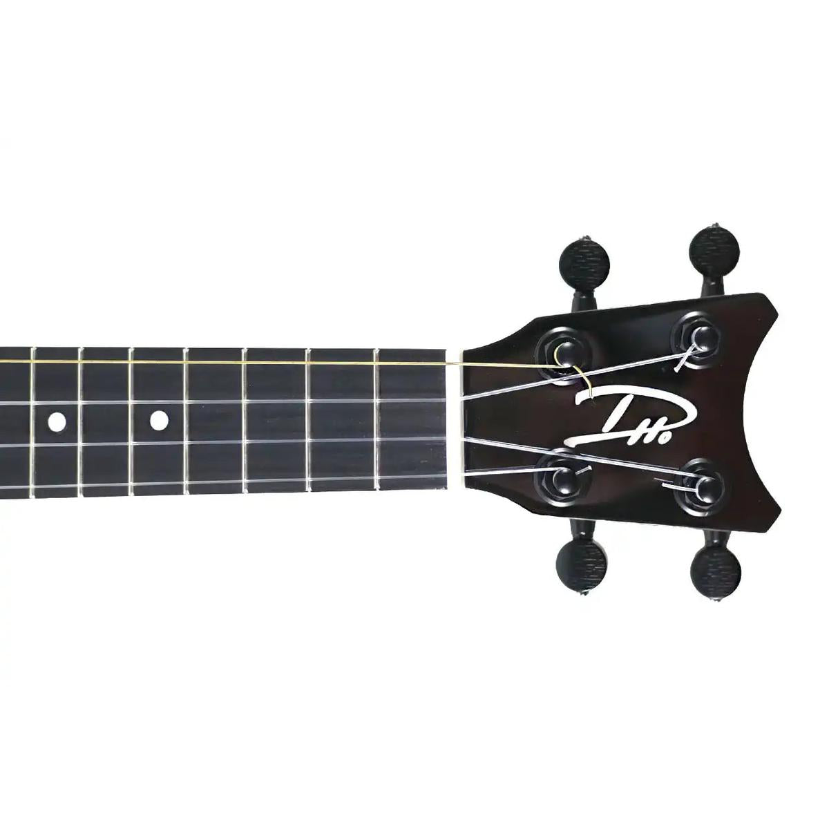 RC_XSMG_1_2_51da8bc7-dca4-4594-971d-3d5cbec73fb9 | Terry Carter Music Store