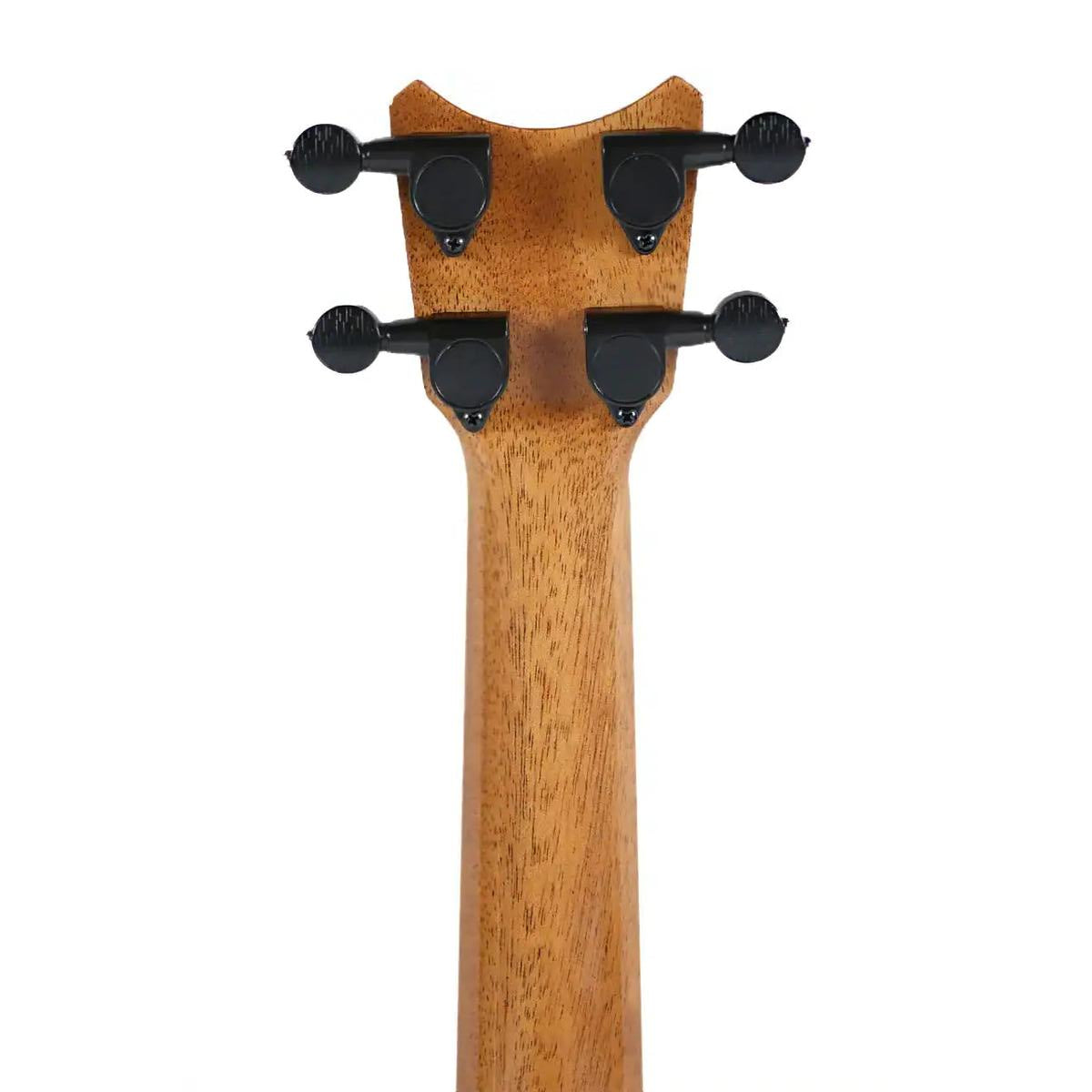 RC_XSMG_1_4_62c14ed0-1f48-4b50-94af-d27ec83cc8af | Terry Carter Music Store