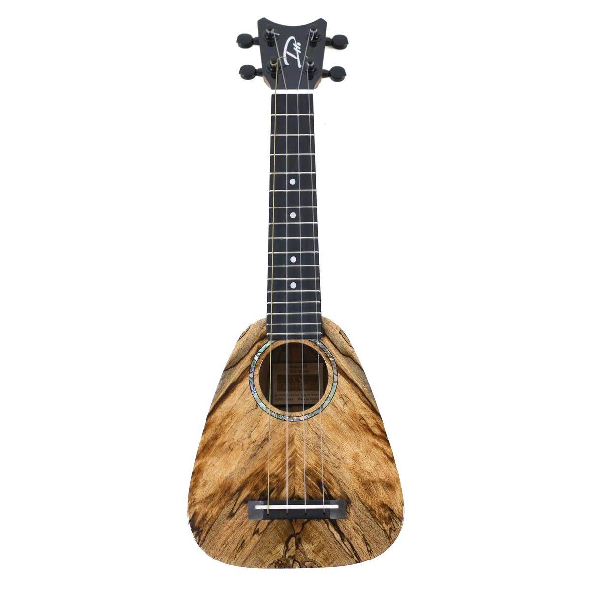 RC_XSMG_1_5 | Terry Carter Music Store