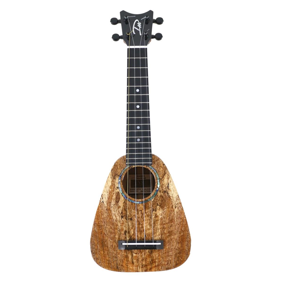 RC_XSMG_2_3 | Terry Carter Music Store