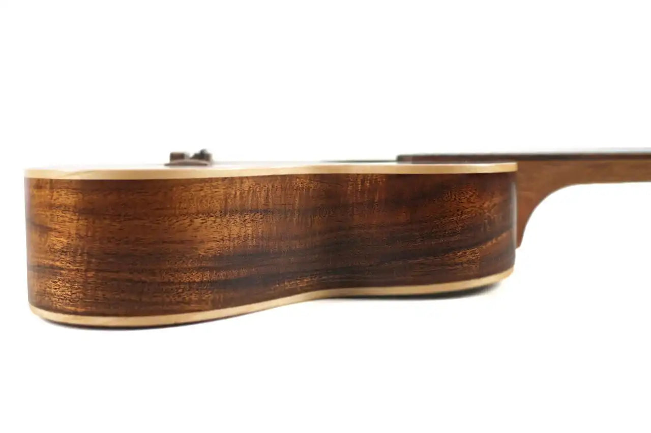 SA_T_PREOWNED_7 | Terry Carter Music Store