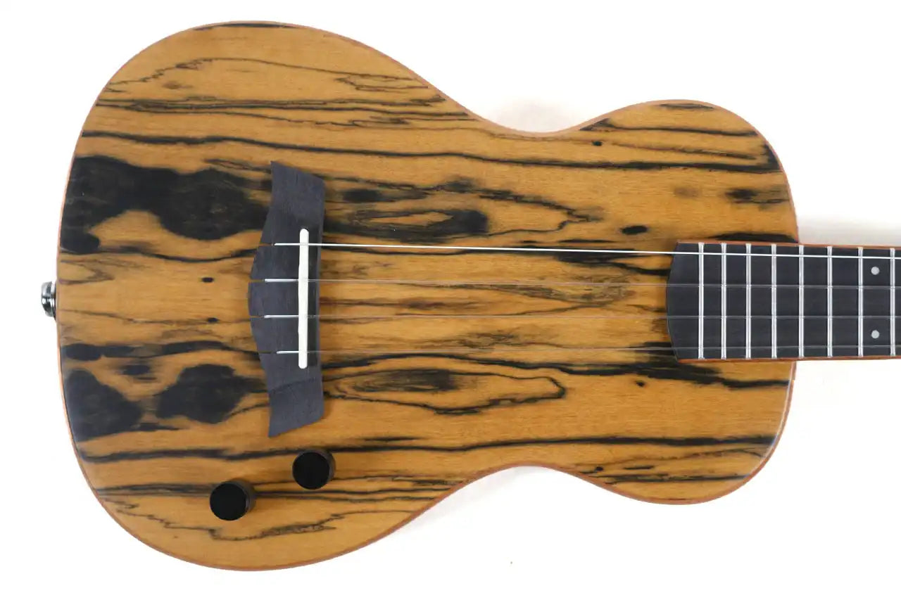 SB-SUN-T-2 | Terry Carter Music Store