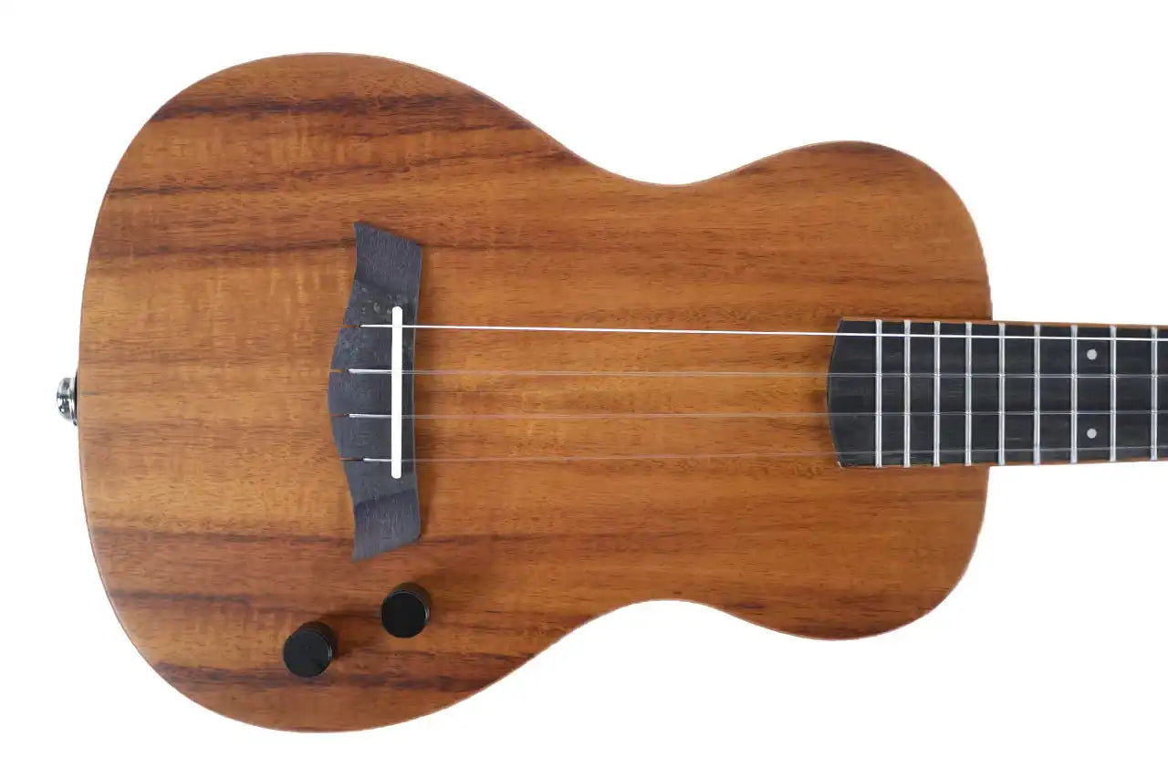 SB_ACA_T_1 | Terry Carter Music Store