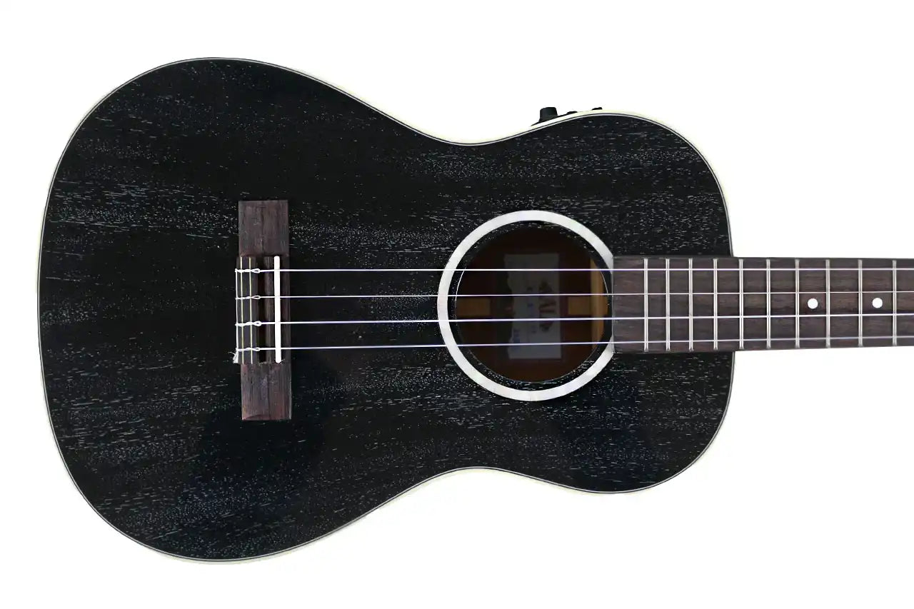 SDH_BE_3 | Terry Carter Music Store