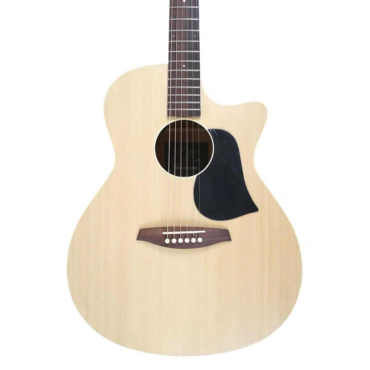 SINGER_GA01_E_1 | Terry Carter Music Store