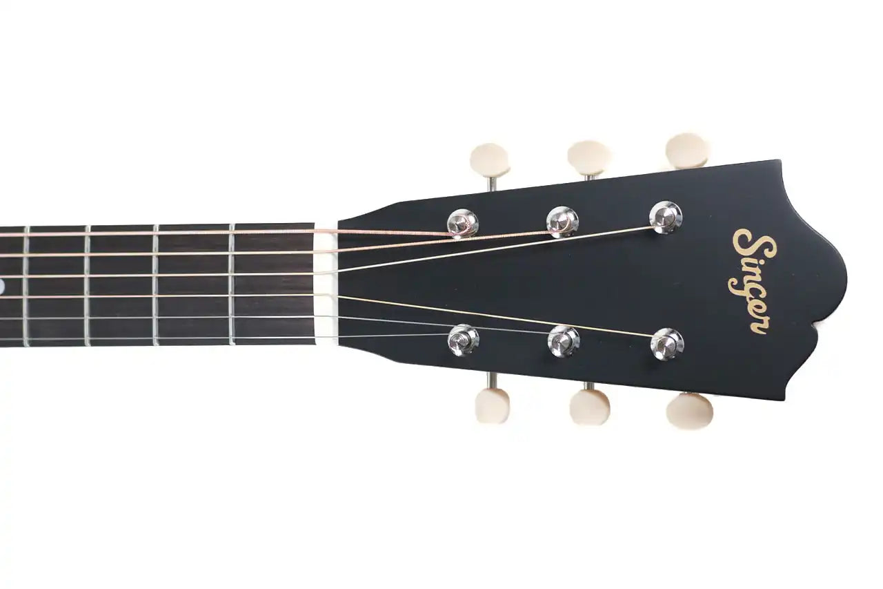 SINGER_P01_BLK_2 | Terry Carter Music Store