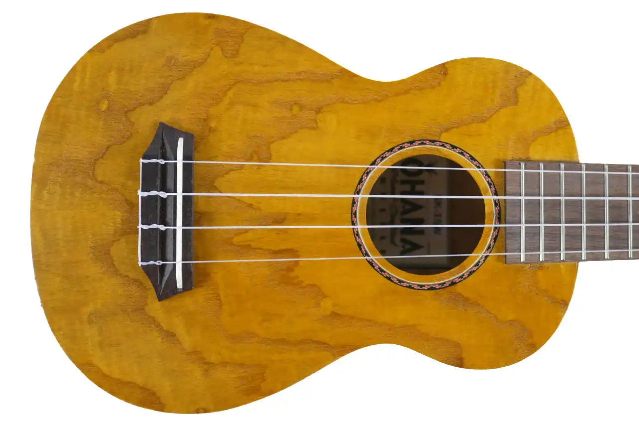 SK_15W_1 | Terry Carter Music Store