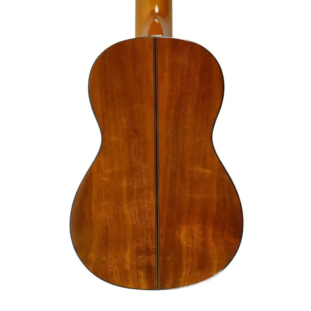 SK_250M_3 | Terry Carter Music Store