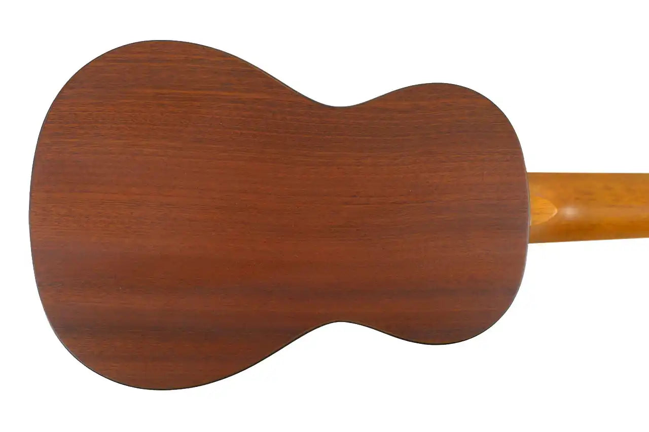 SK_35_3 | Terry Carter Music Store