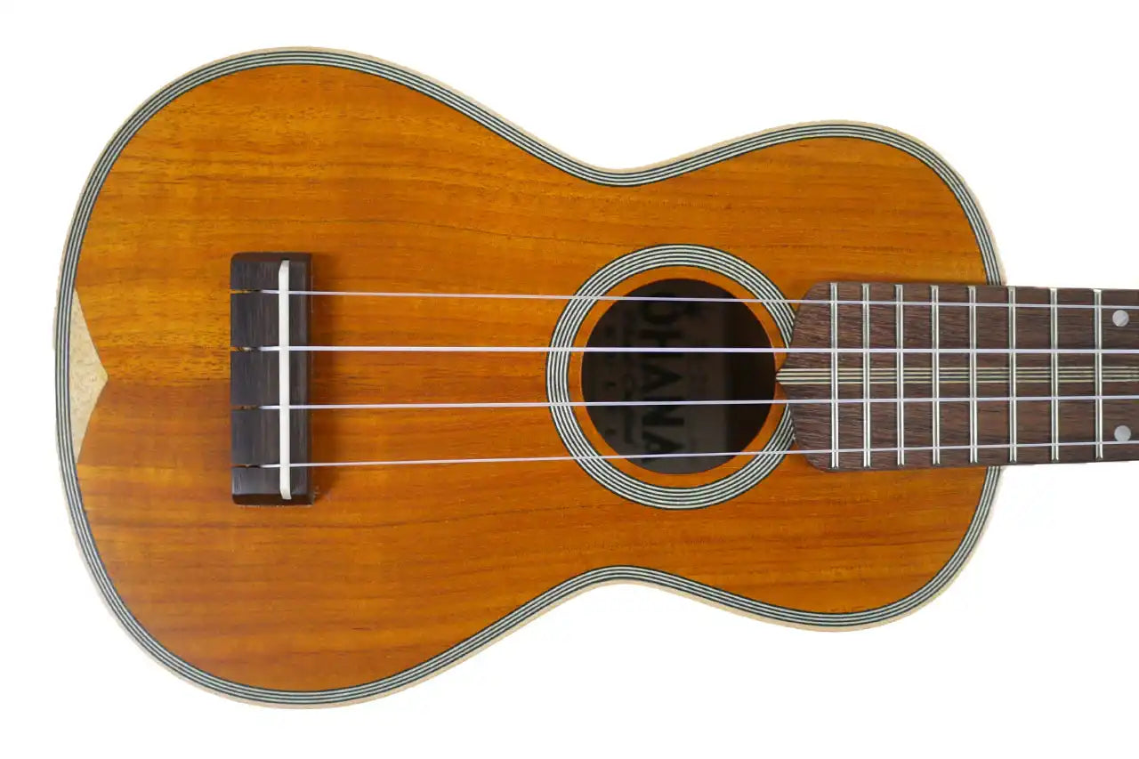 SK_390_1 | Terry Carter Music Store