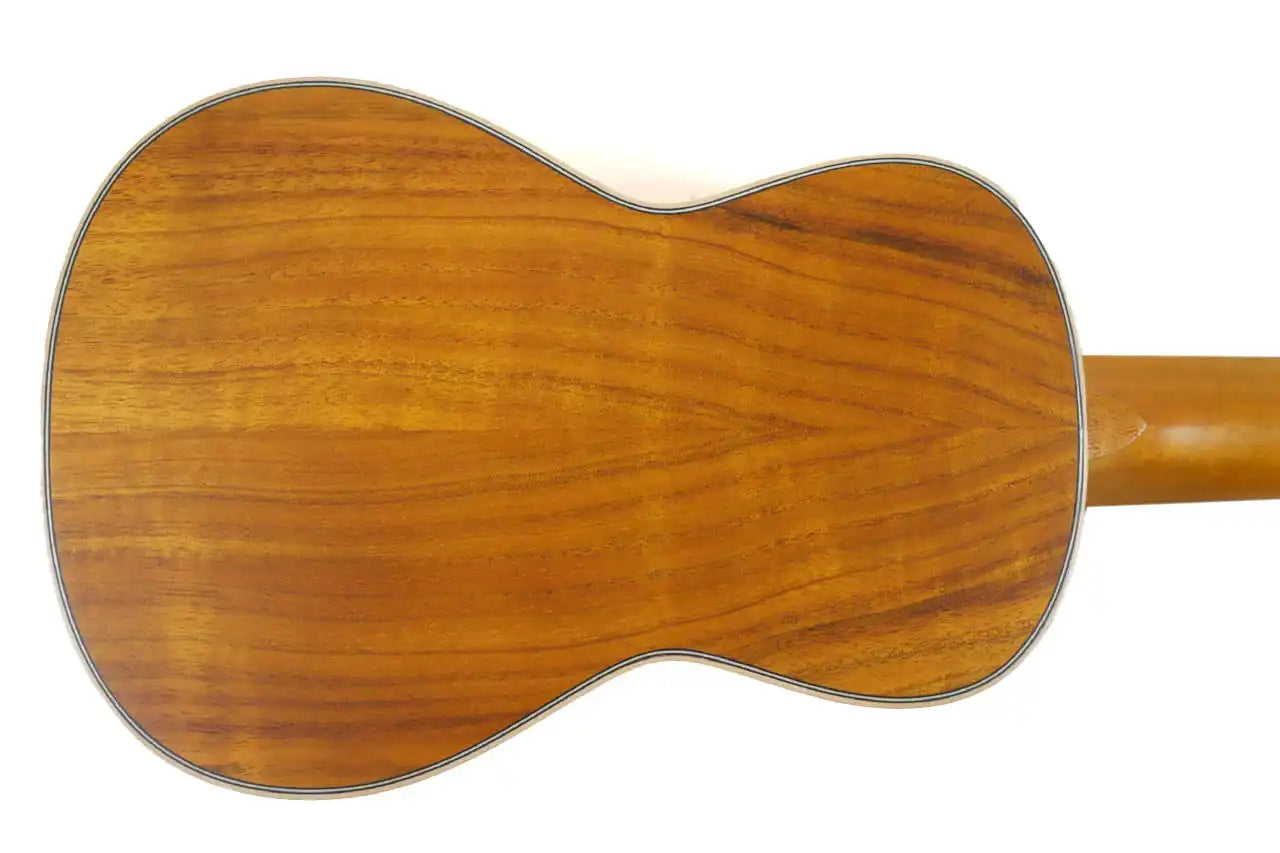 SK_390_3 | Terry Carter Music Store