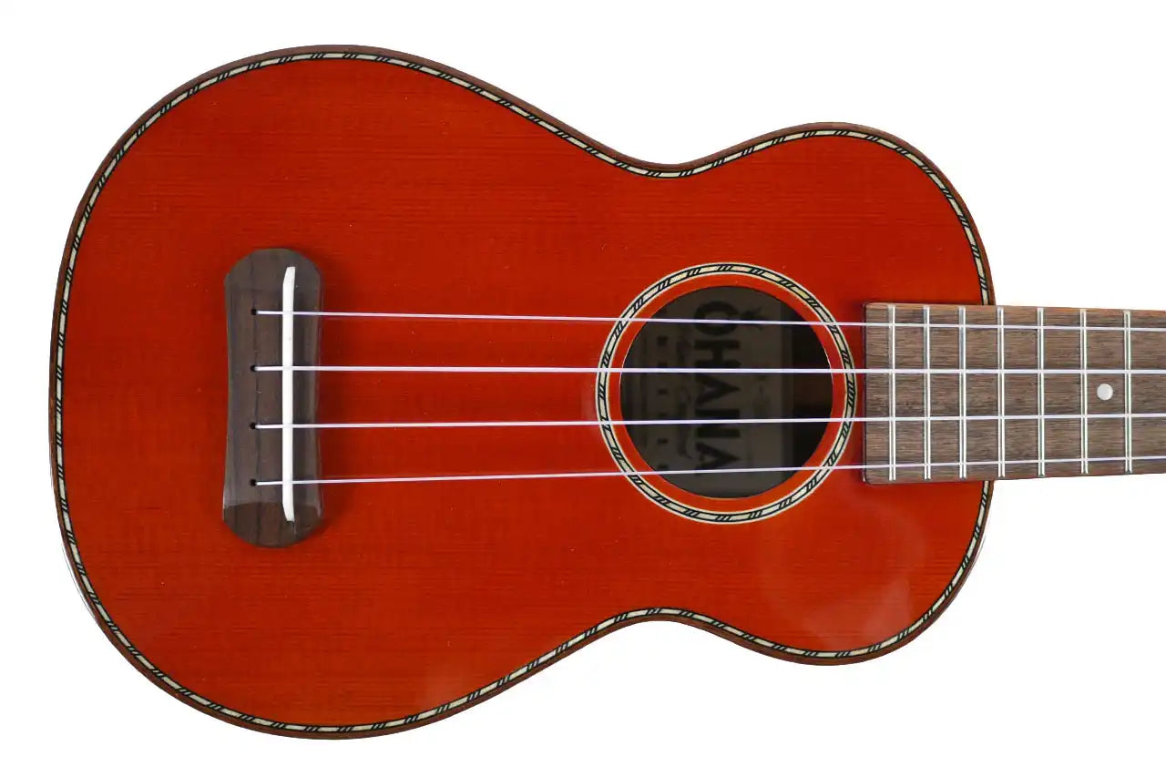 SK_50G_1 | Terry Carter Music Store