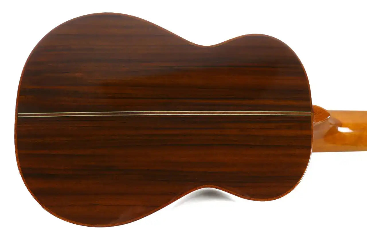 SK_50G_3 | Terry Carter Music Store