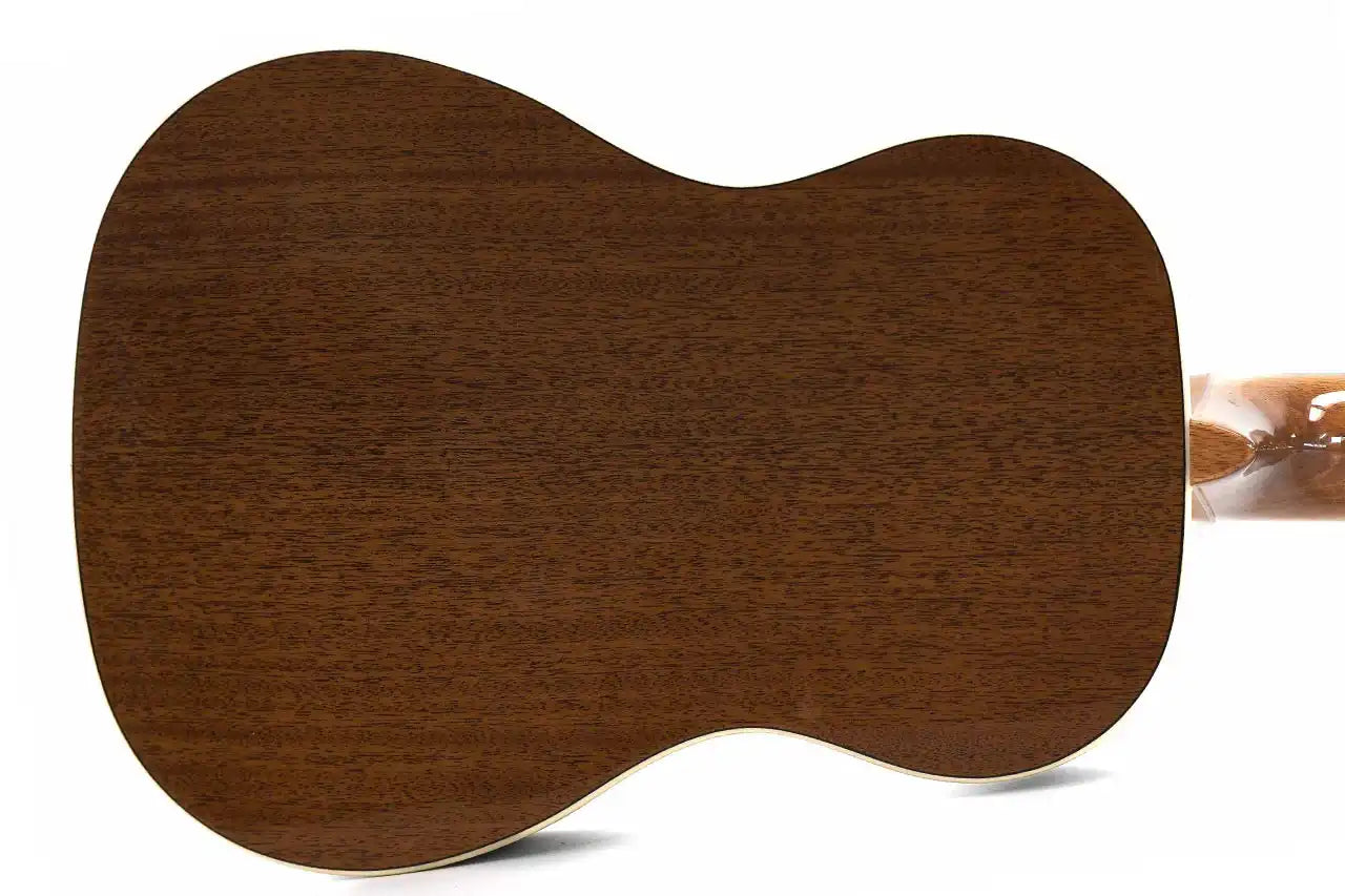 SSMHG-B-2_5700a804-8dde-46f5-a882-5f378861efda | Terry Carter Music Store