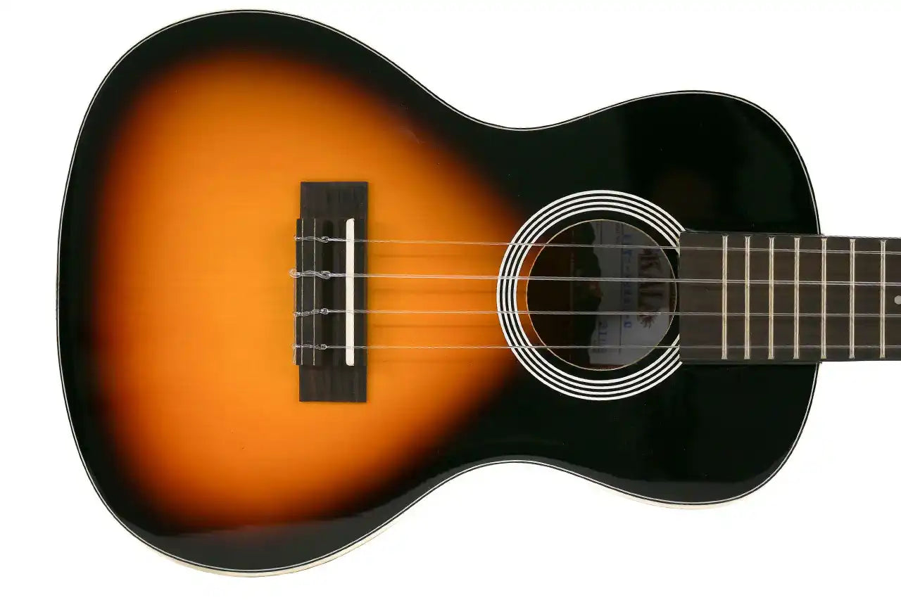 SSMHG-C-1 | Terry Carter Music Store