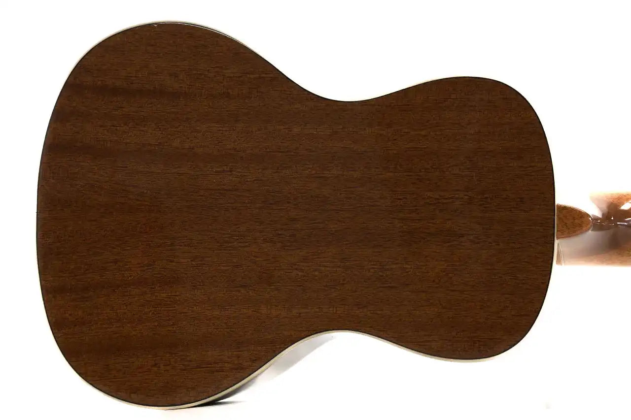 SSMHG-C-2 | Terry Carter Music Store