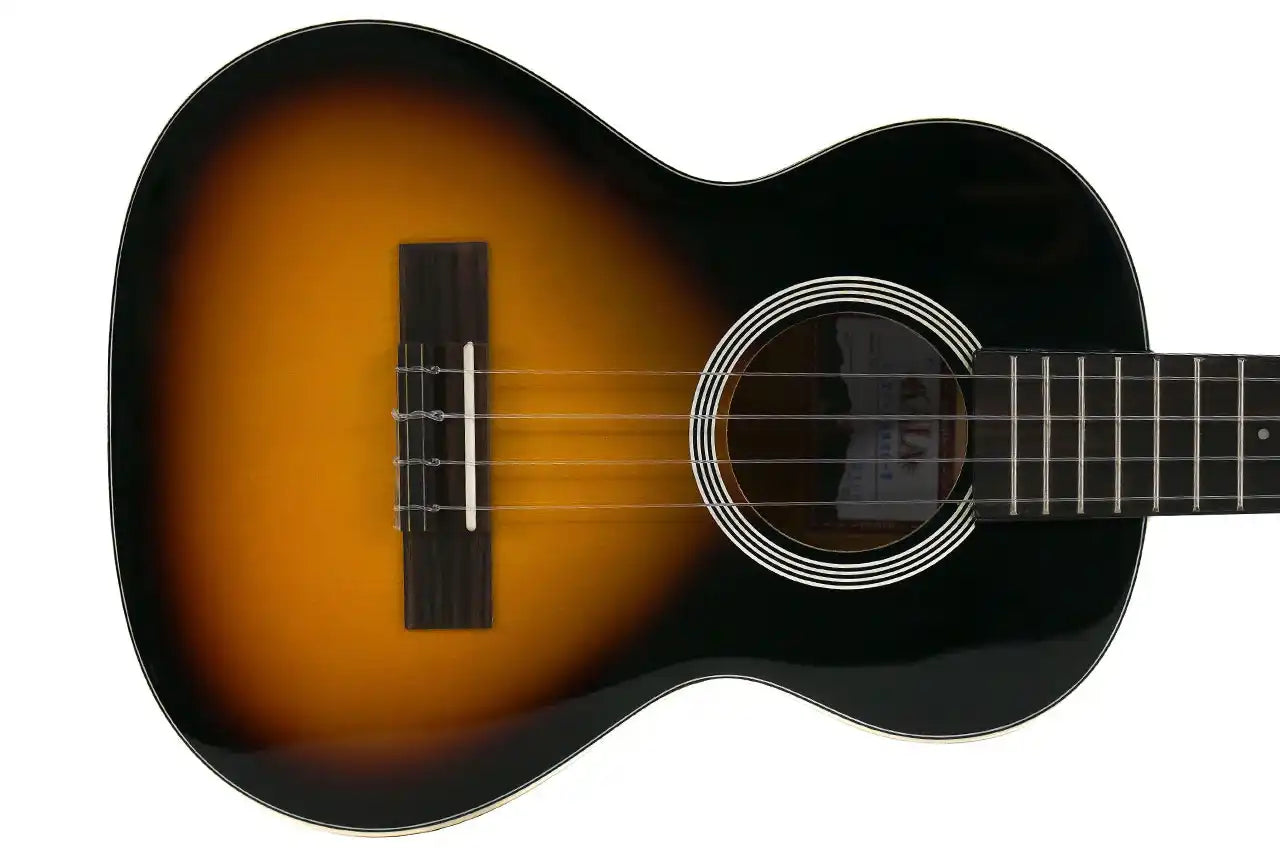 SSMHG_T_4_25a932d4-5dec-469d-b781-77cf7a5c536f | Terry Carter Music Store