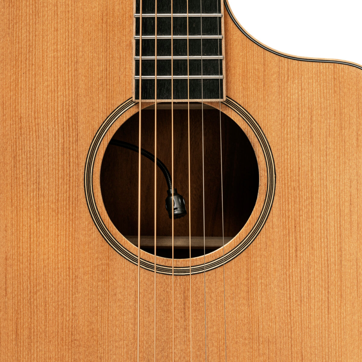 soundhole