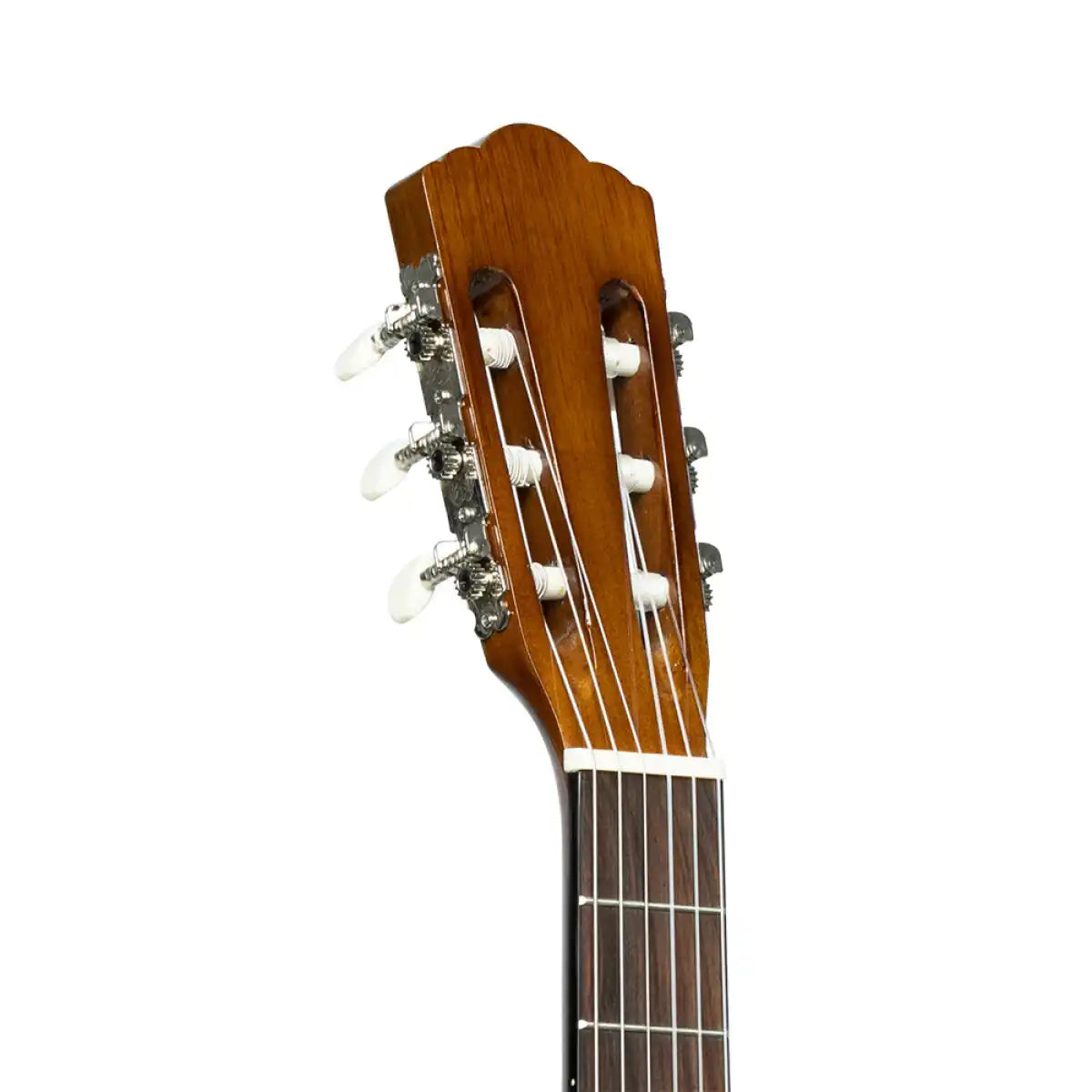 STAG-SCL501_2-NAT-25649_4_32828 | Terry Carter Music Store