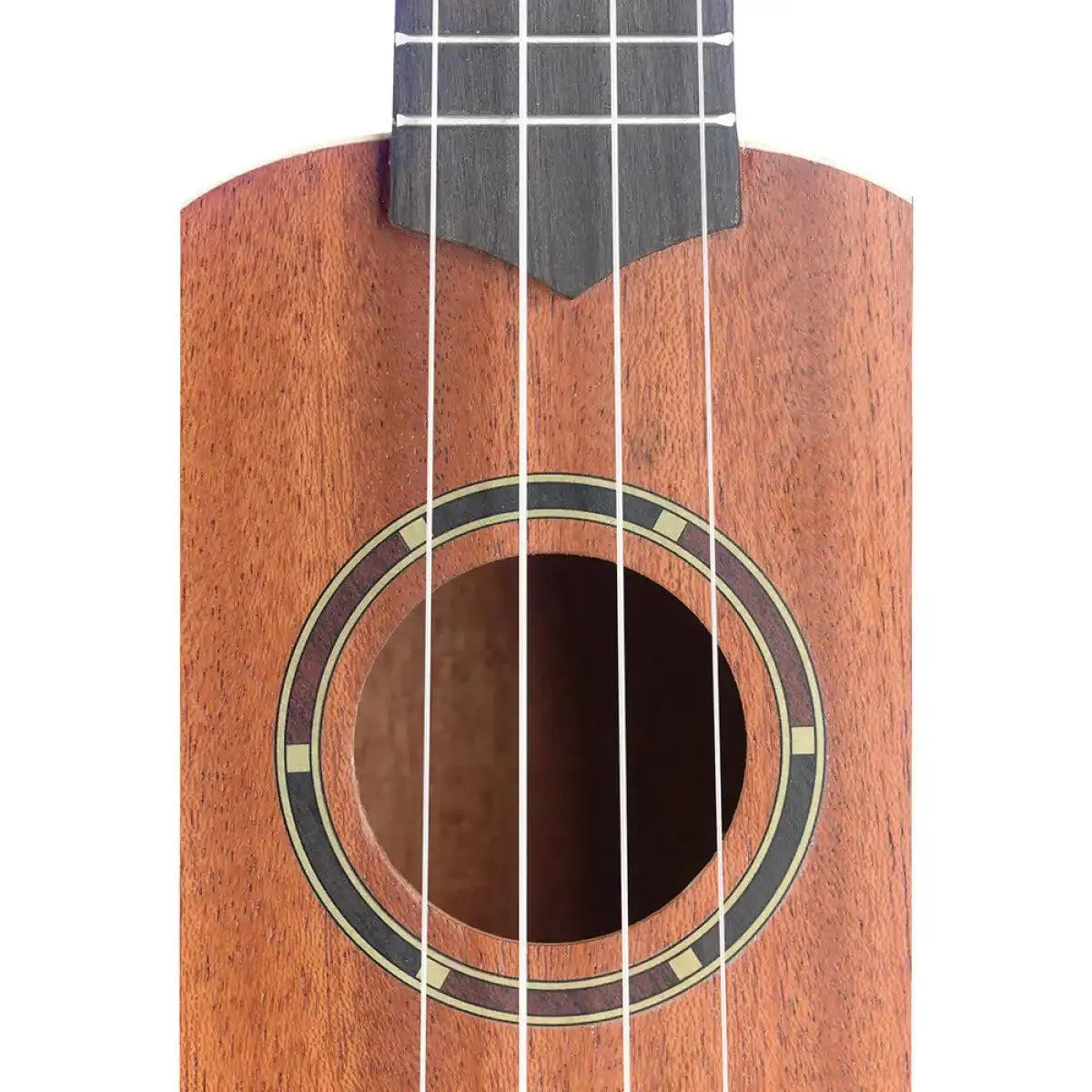 STAG-UC-30-24165_3_19359 | Terry Carter Music Store